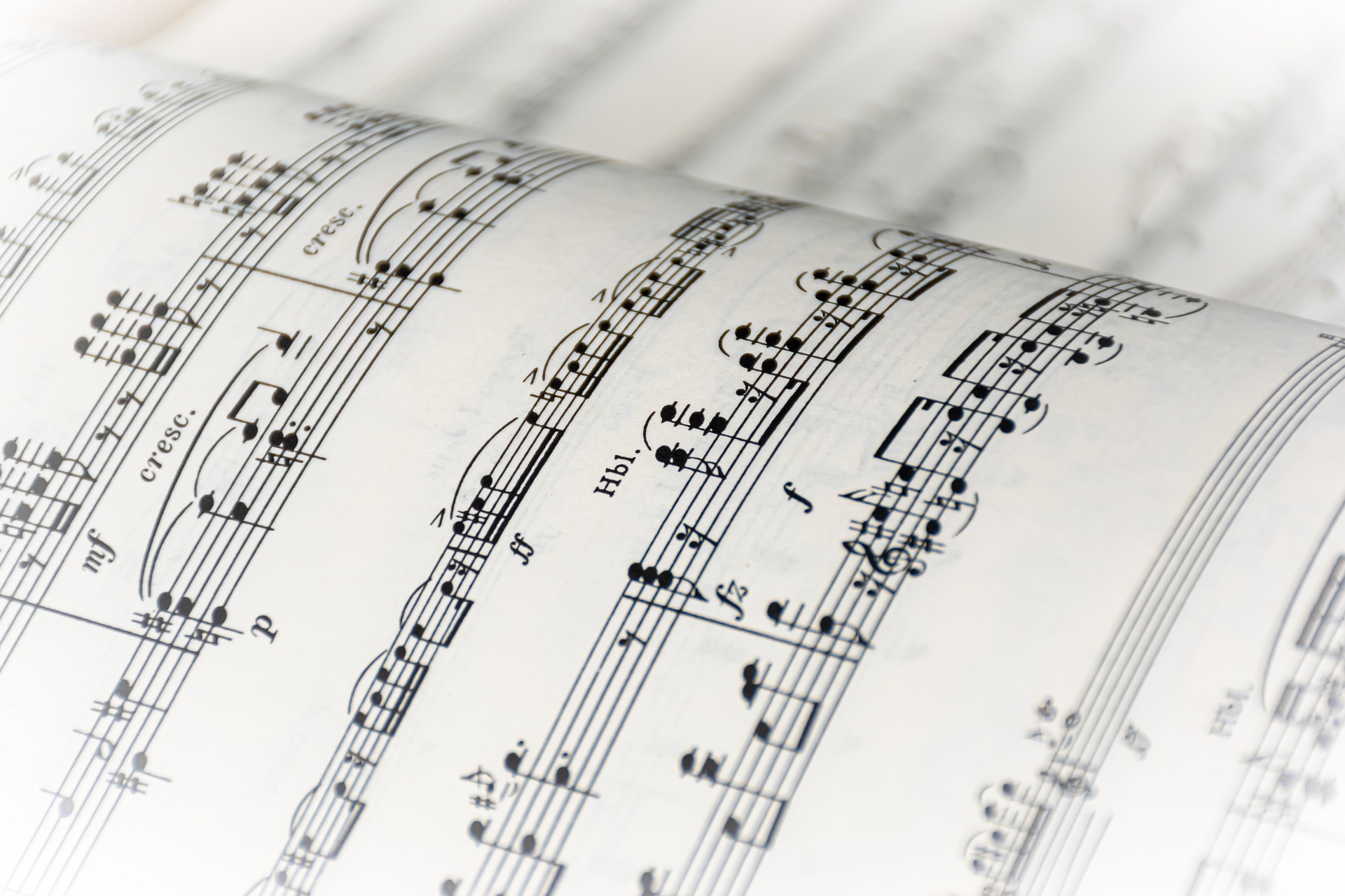 Les Soires Musicales de l'Abbaye de La Celle