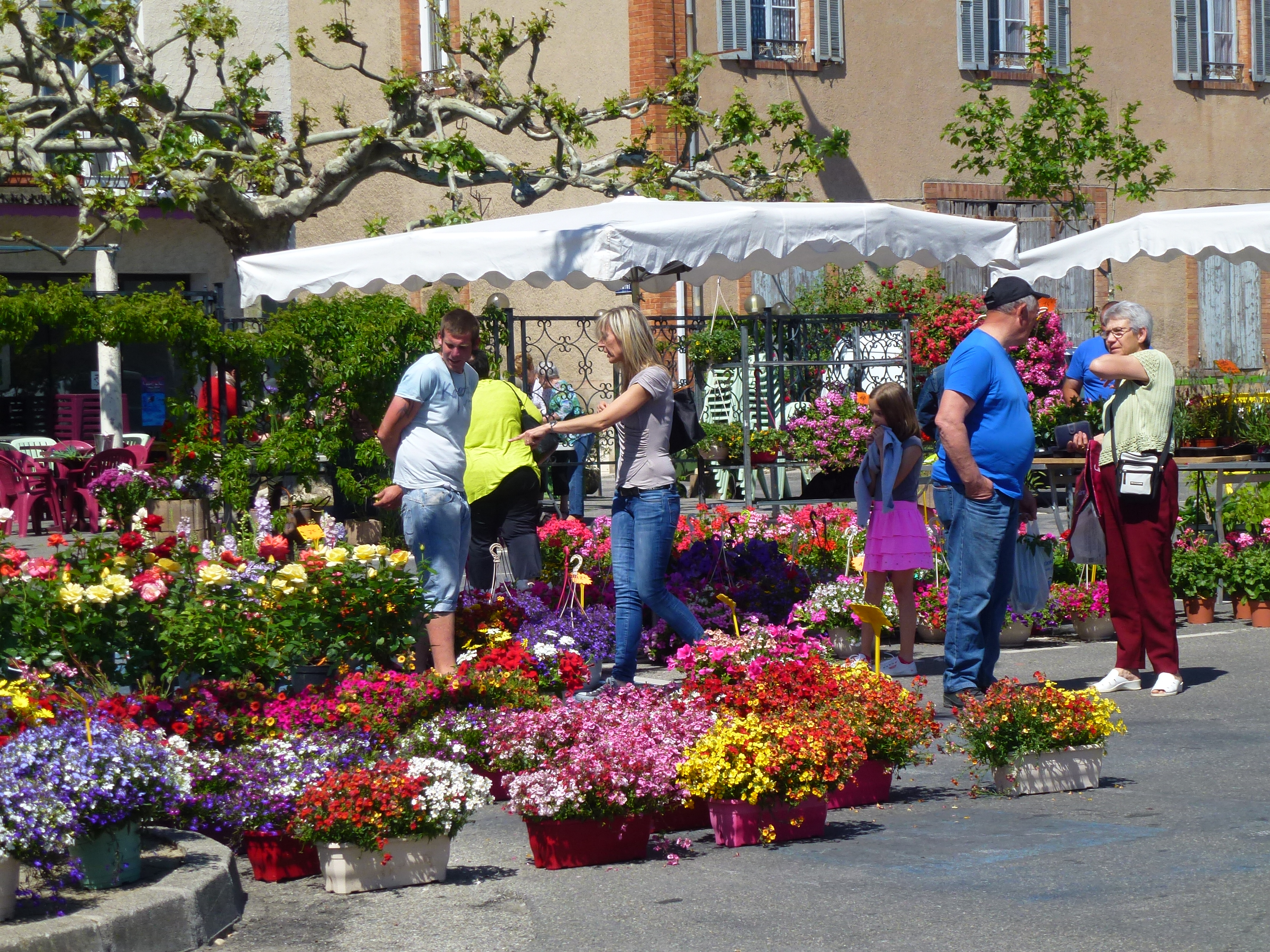 15�me Foire aux Plants