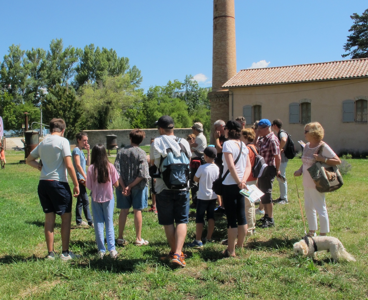 Visite guide du muse de la Distillerie
