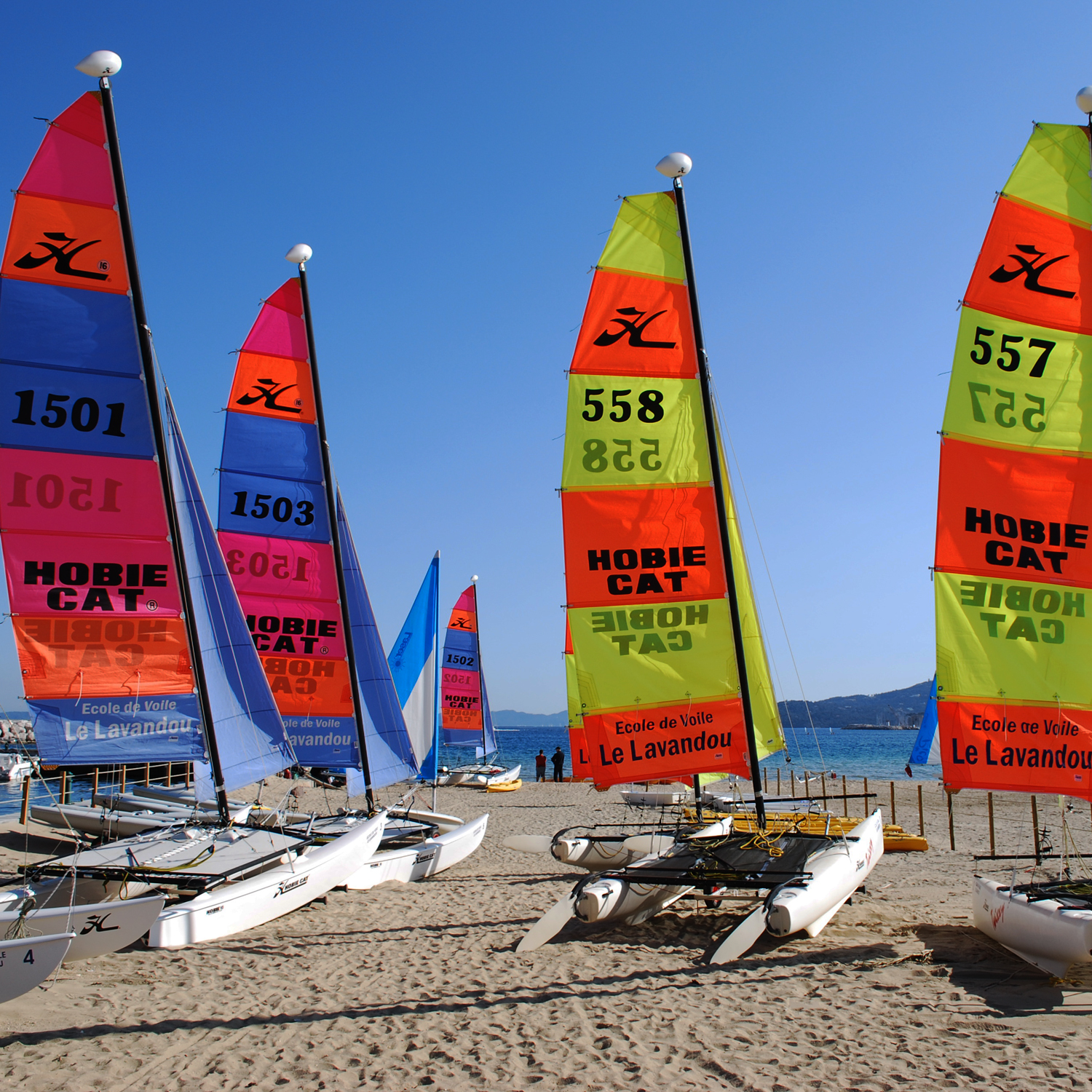 Les pagaies du Lavandou
