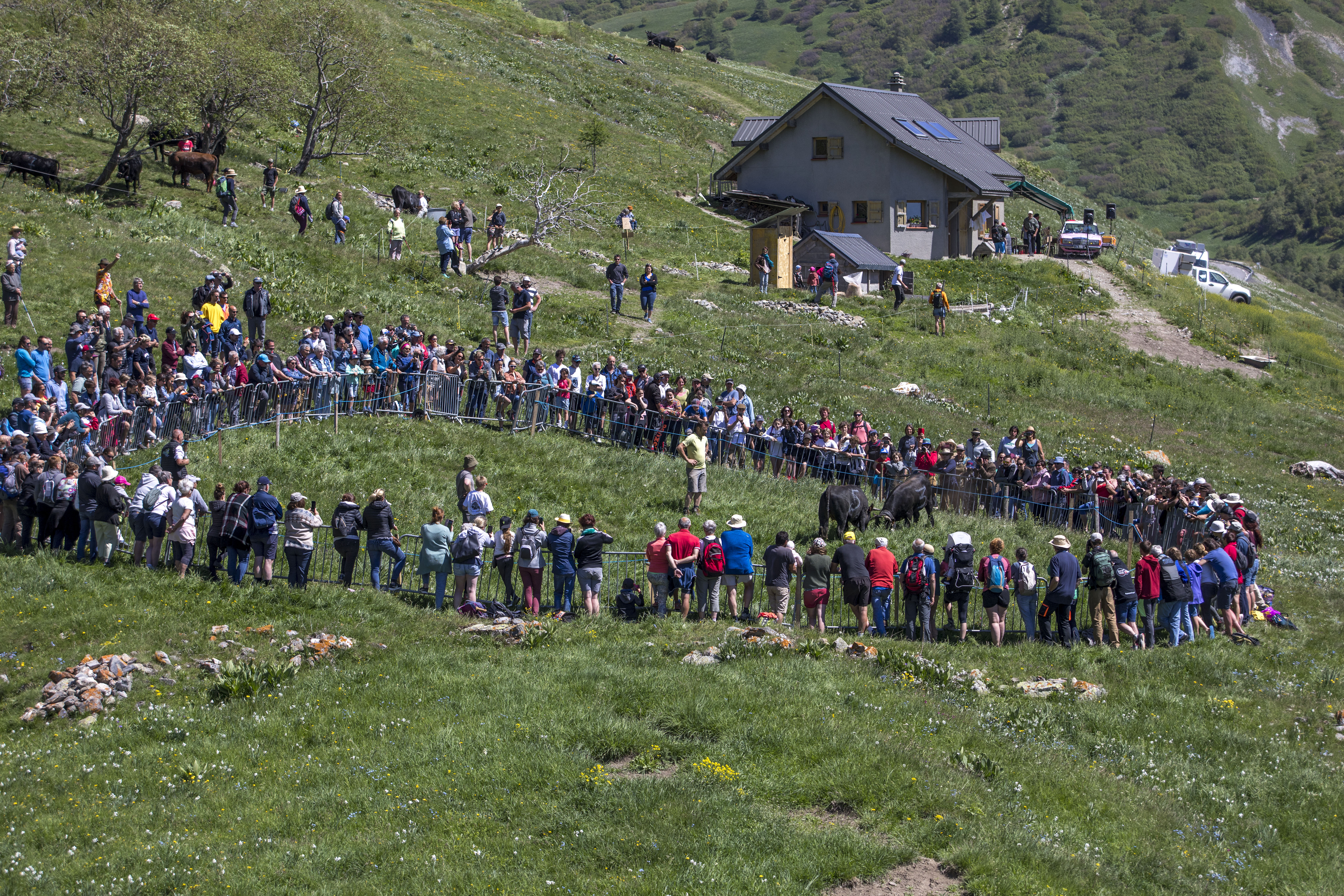 Transhum'en fte - La monte en alpage