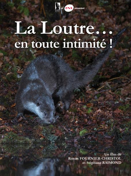 La loutre... en tout intimit
