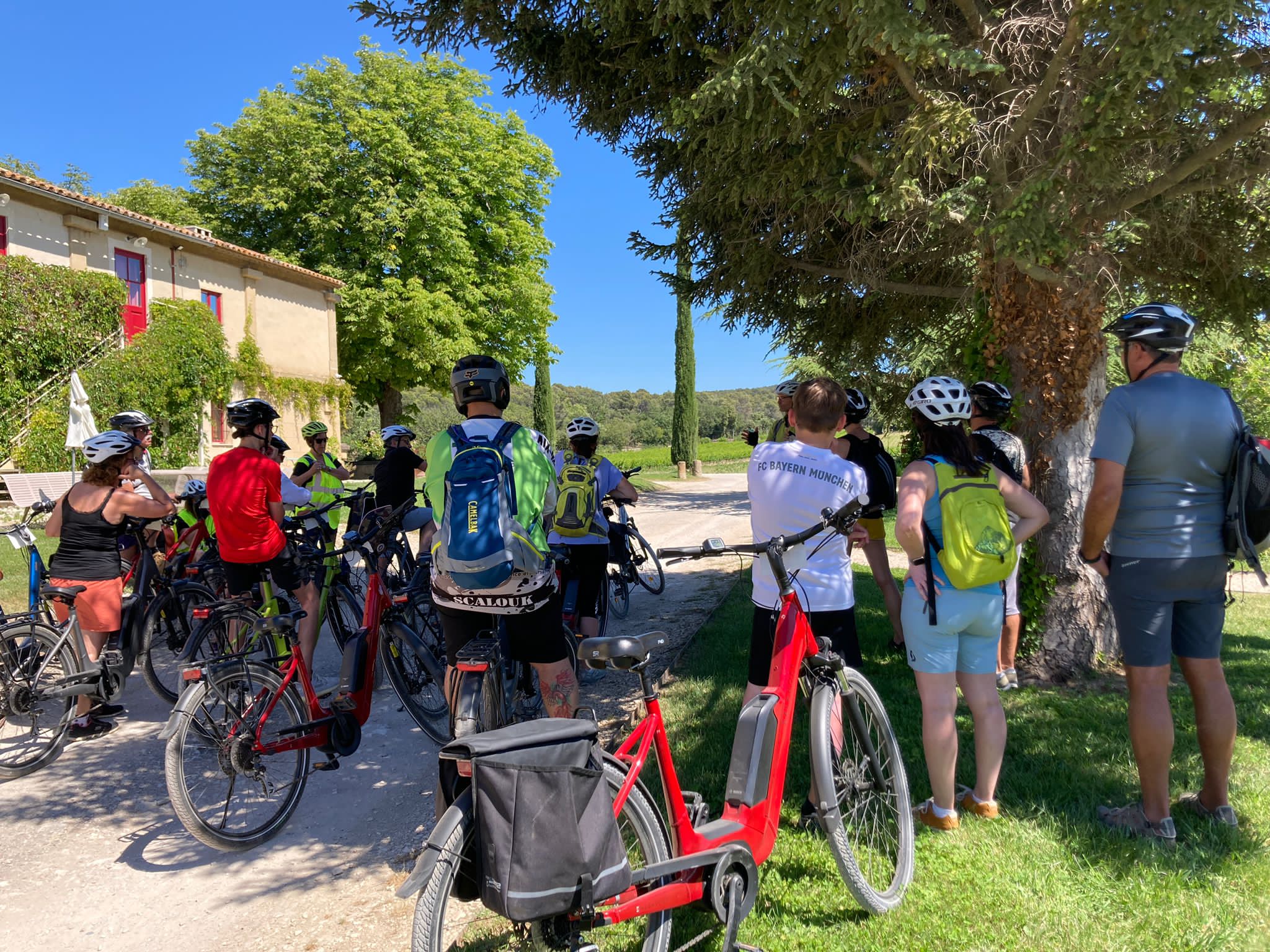 En vlo dans les vignes !