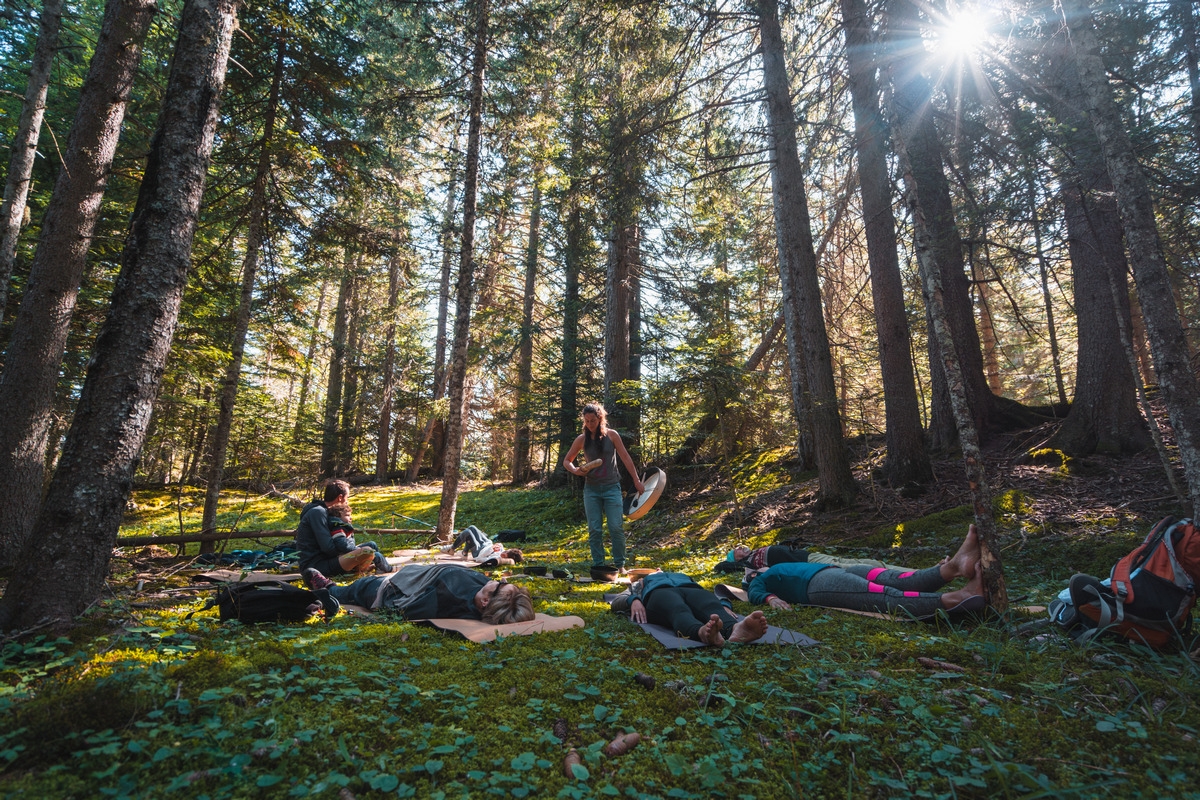Zen Agritude : Sylvoth�rapie 