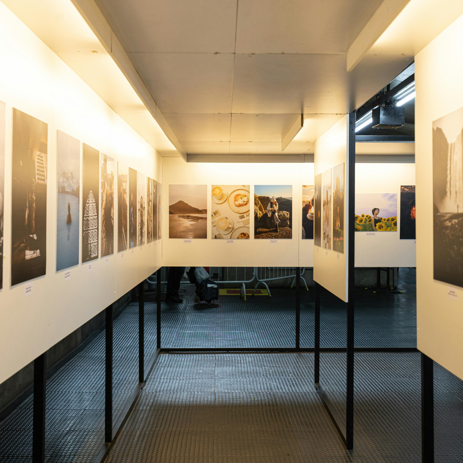 Exposition des oeuvres de Mme Patricia CABOT