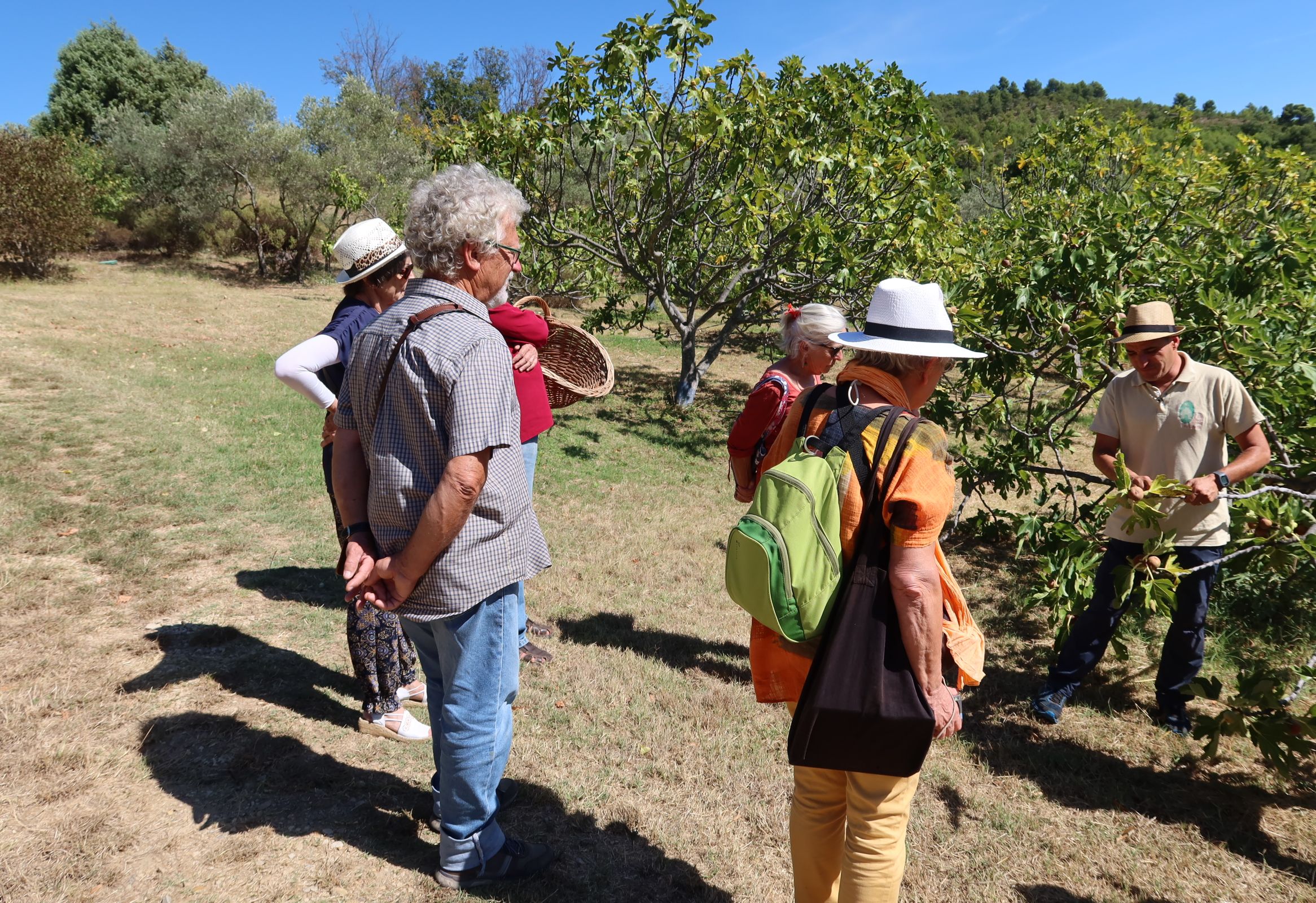 Visite guide des vergers et jardins de la Thomassine