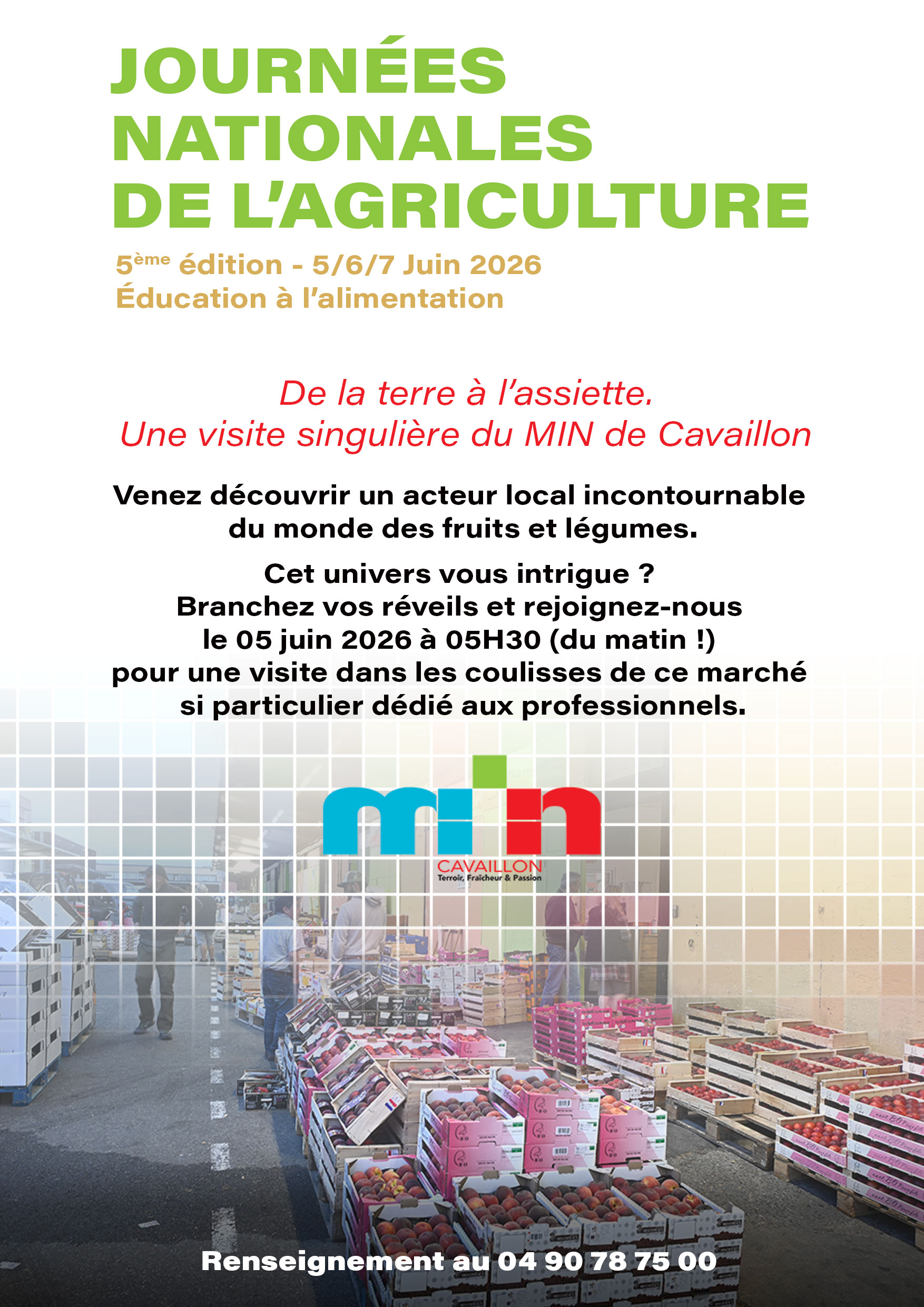 Visite insolite au MIN de Cavaillon