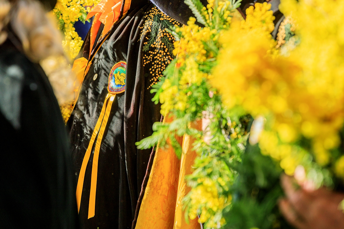 Fte du Mimosa