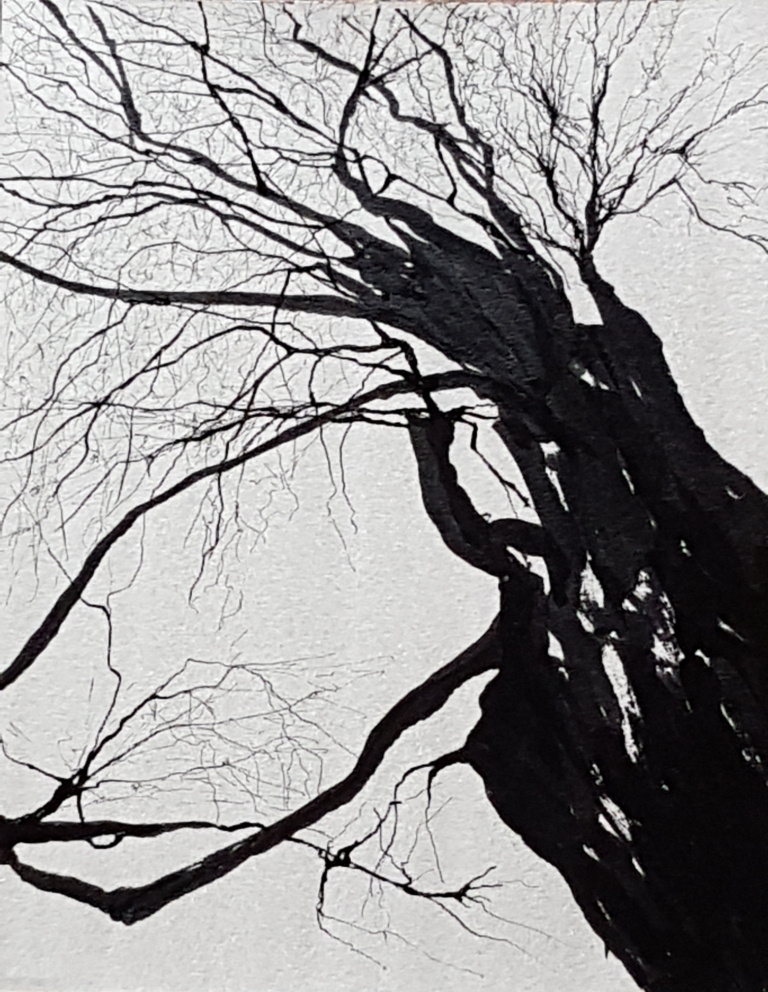 Stage Travers'Arts : Croquis � l'encre