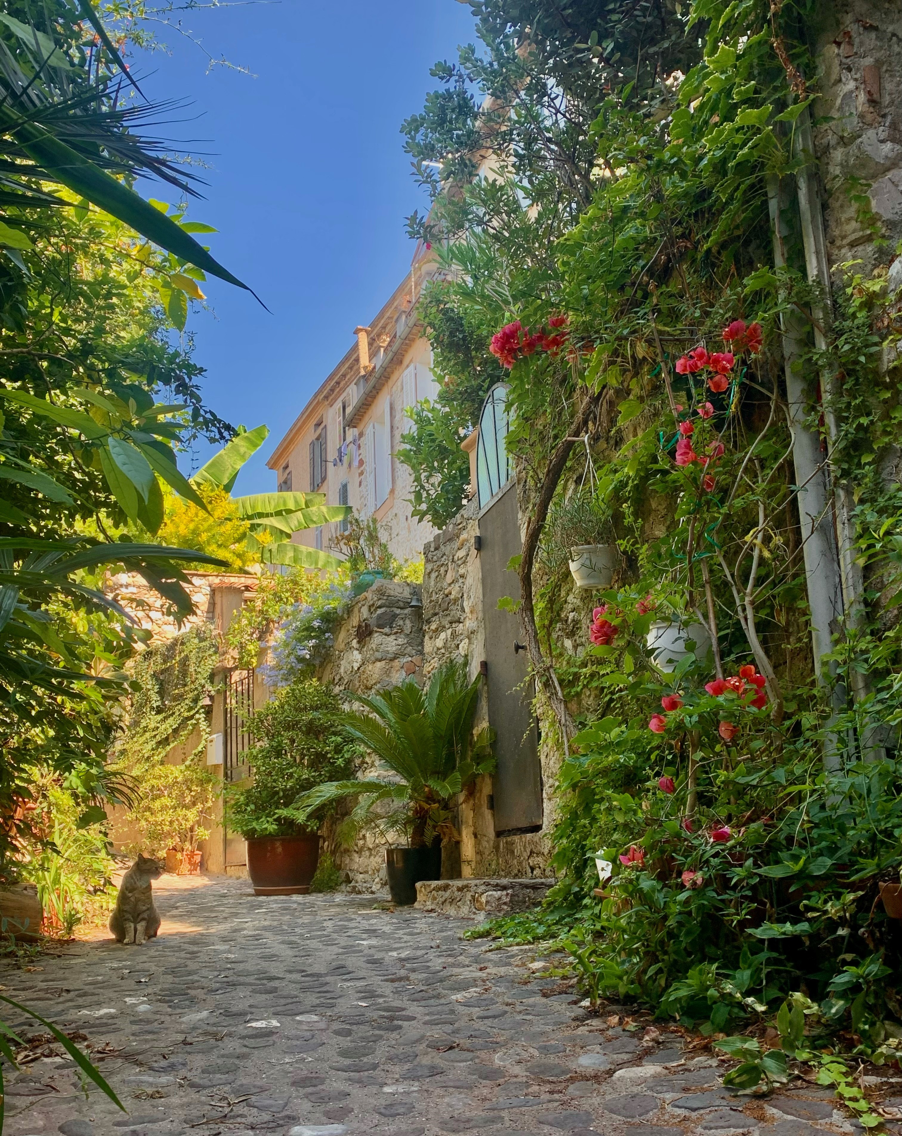 Les visites guides du village