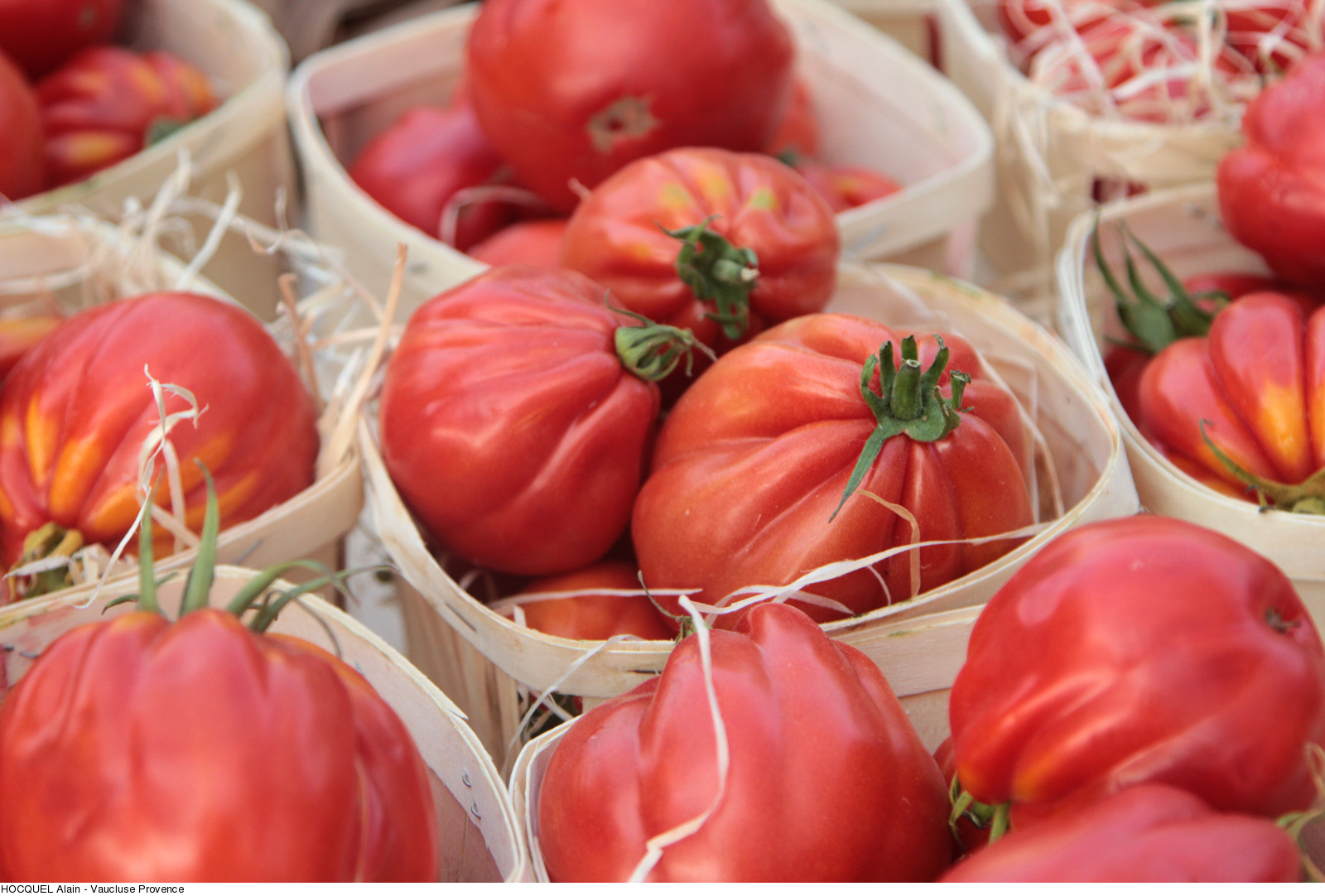 March Nocturne des producteurs