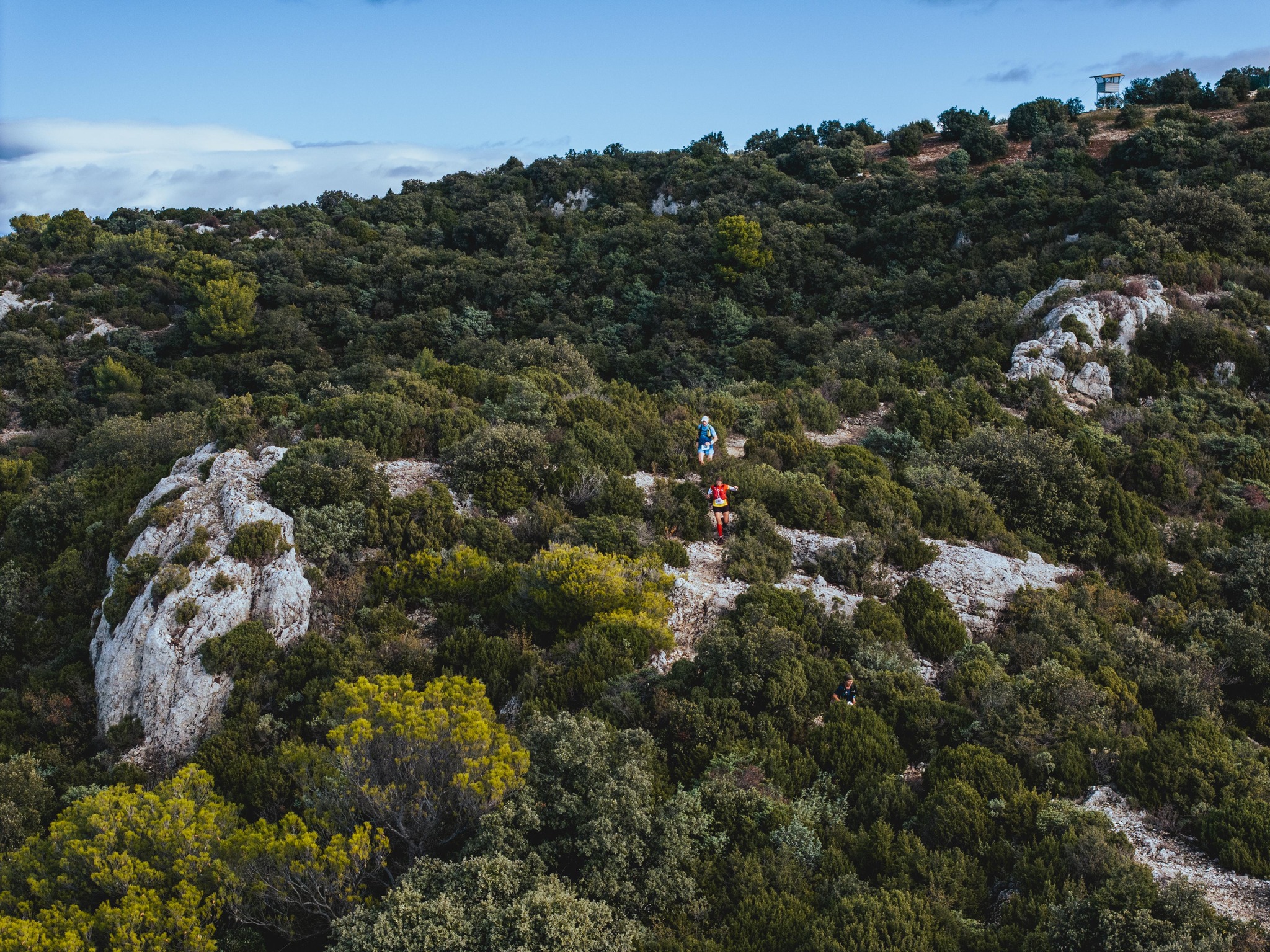 Trail des Monts de Vaucluse