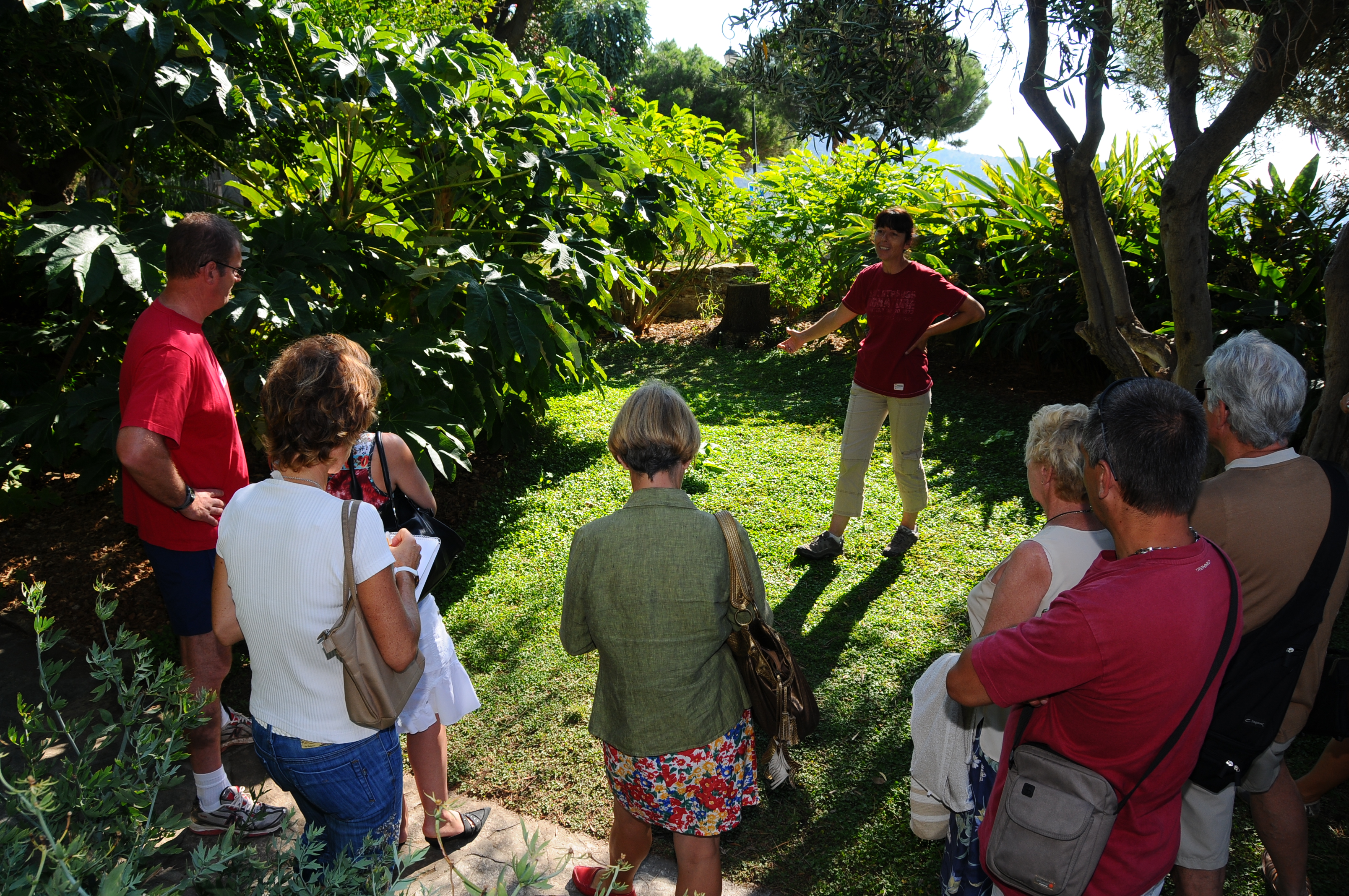 Visite guid�e botanique 