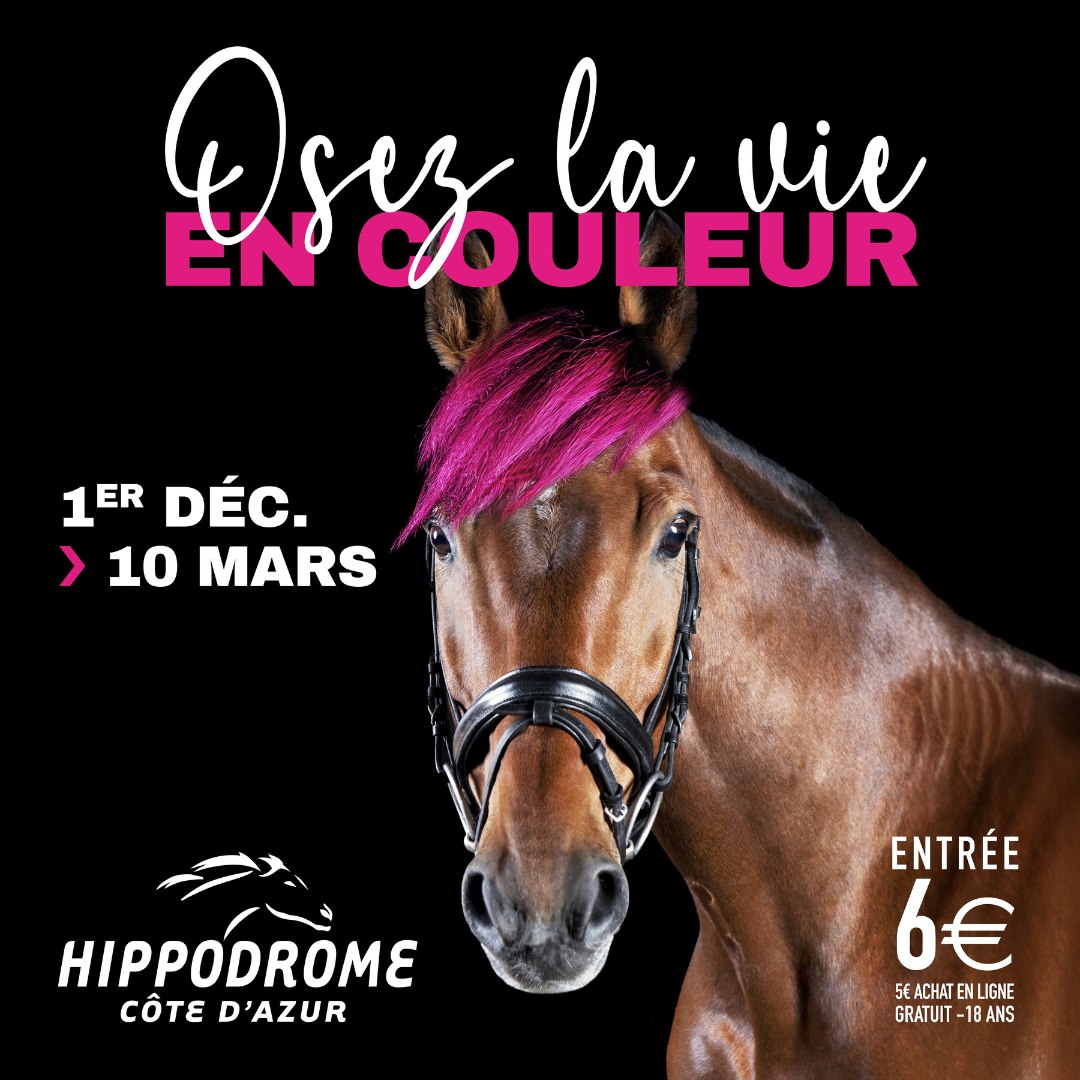 Meeting hippique d'hiver