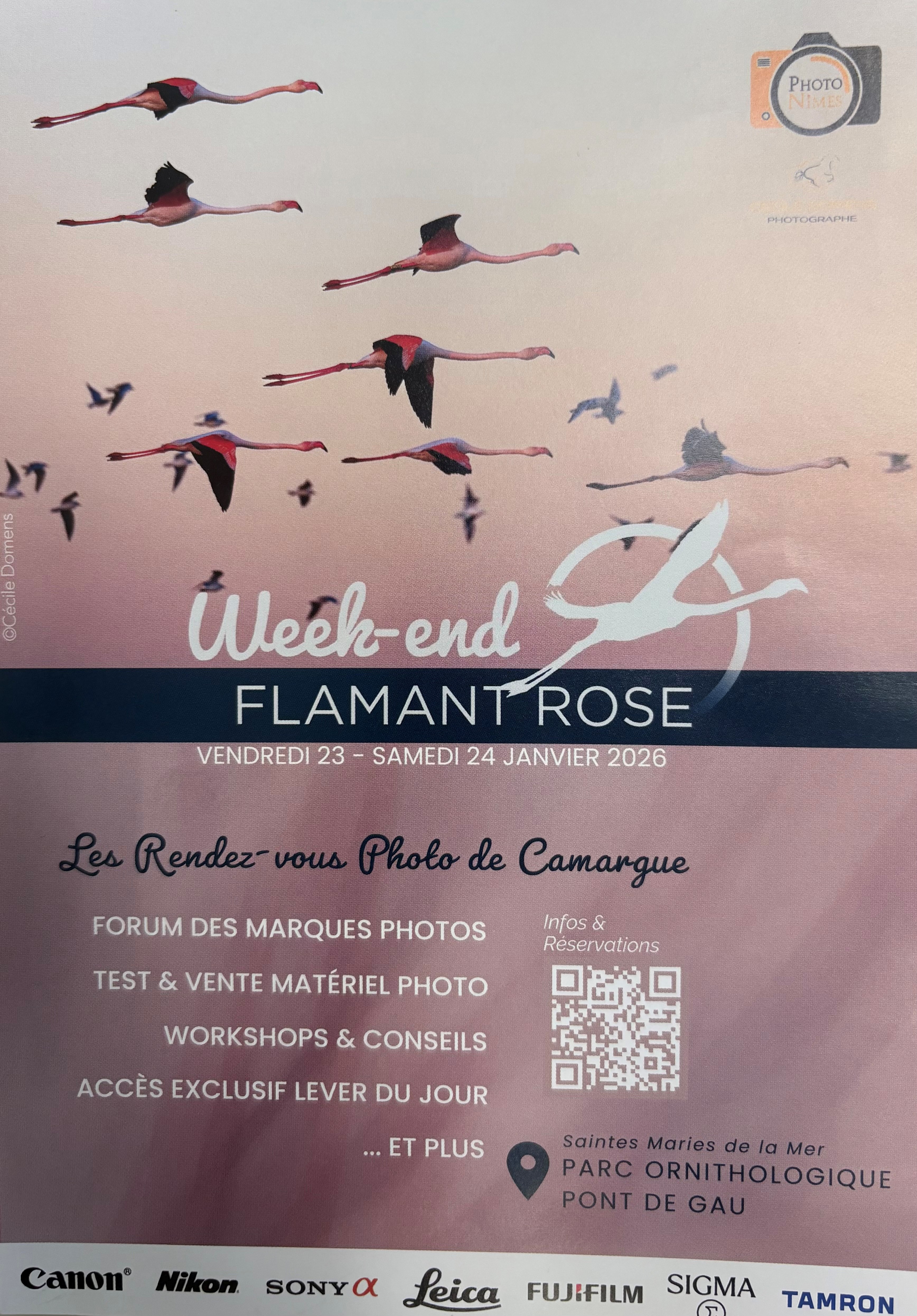 Week-end Flamant Rose au Parc Ornithologique