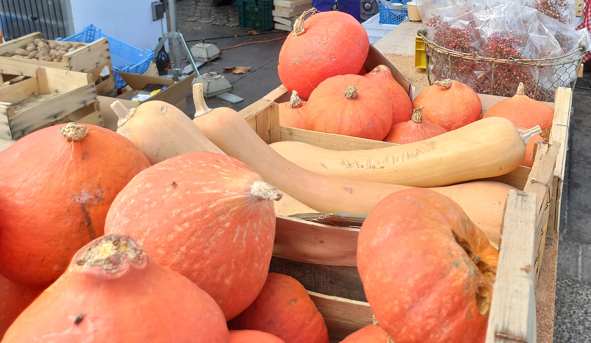 Fte de la citrouille  Martigues