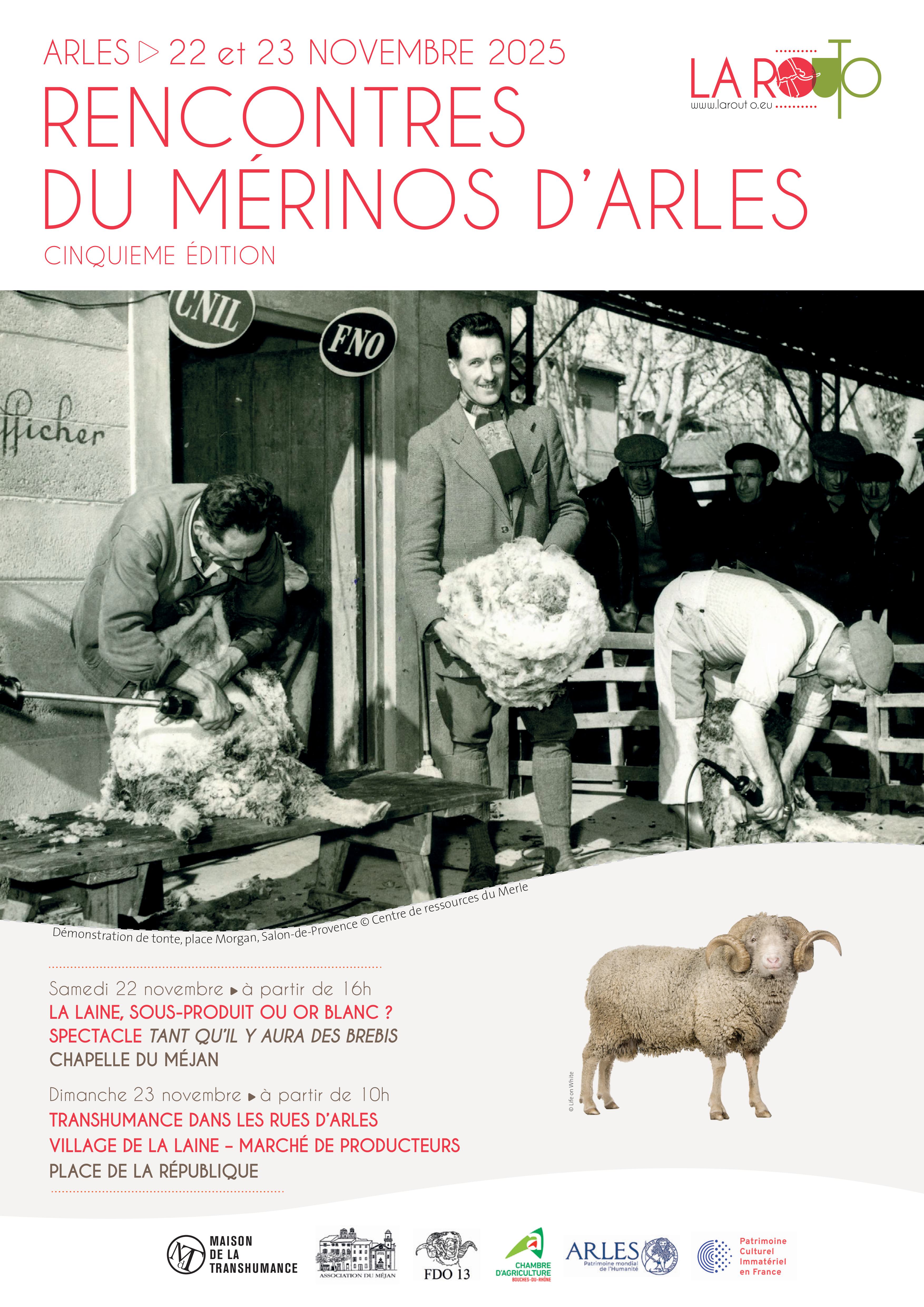 Rencontres du Mrinos d'Arles