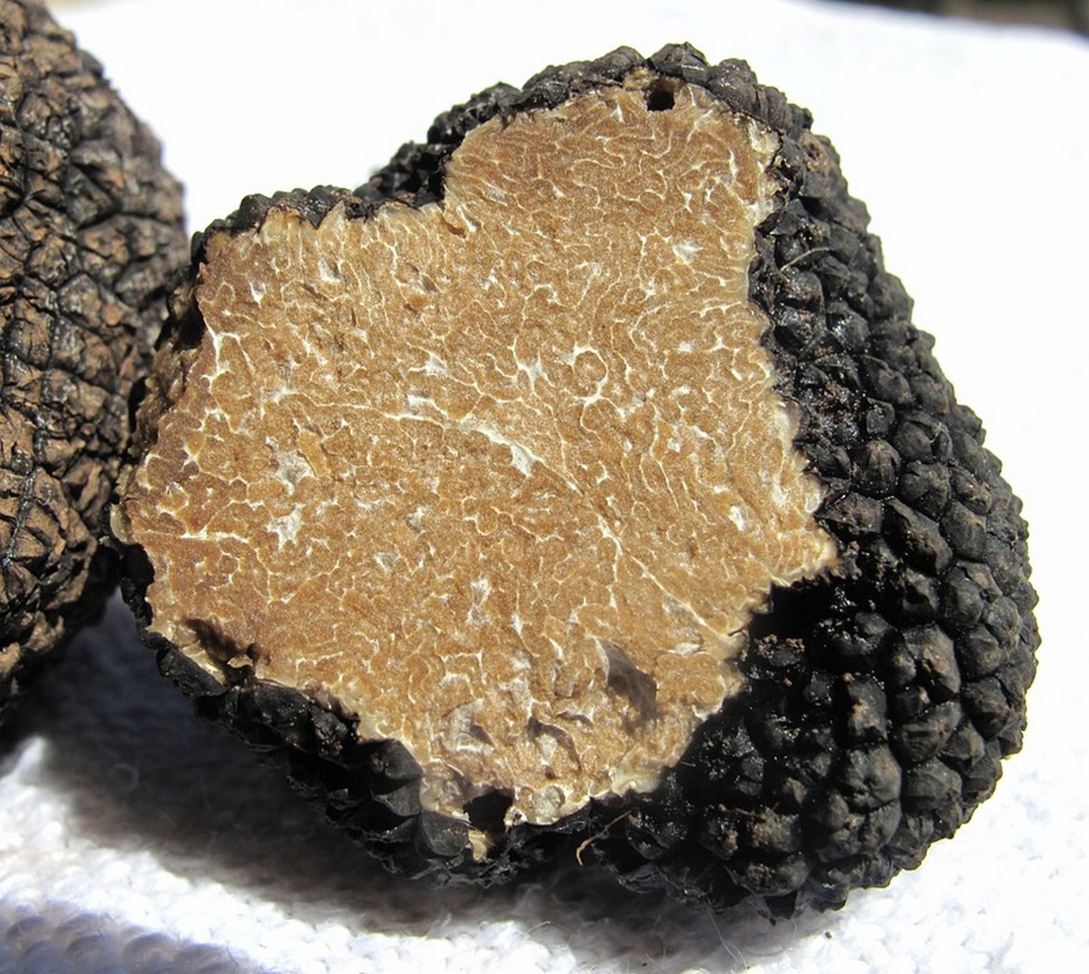 March aux truffes