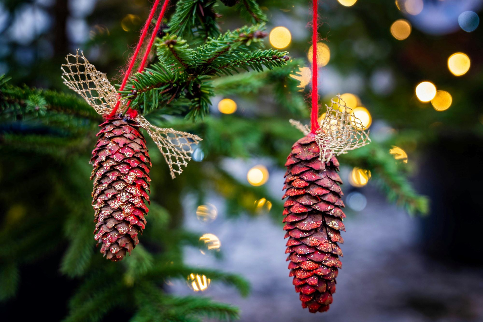 Chalets de Nol des associations locales