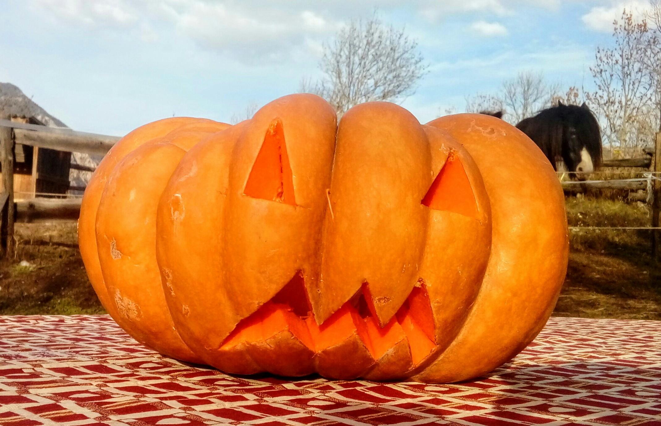 Visite guide Spcial Halloween - La Petite Ferme des Regains
