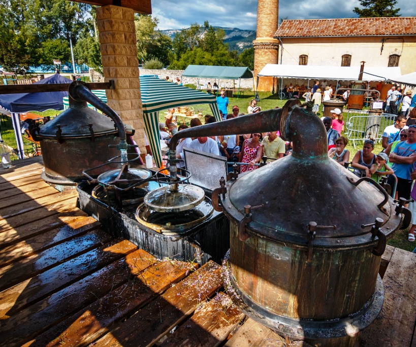 Fte de la lavande fine de Haute-provence