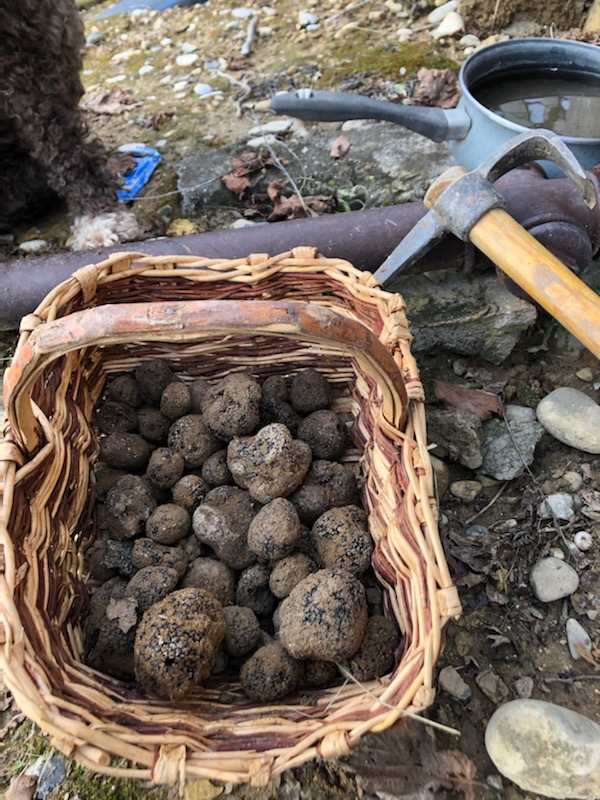 March aux Truffes - Grolires