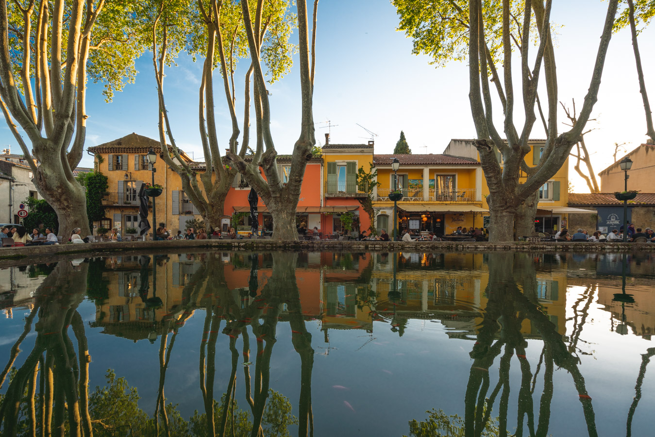Cucuron fte ses vins
