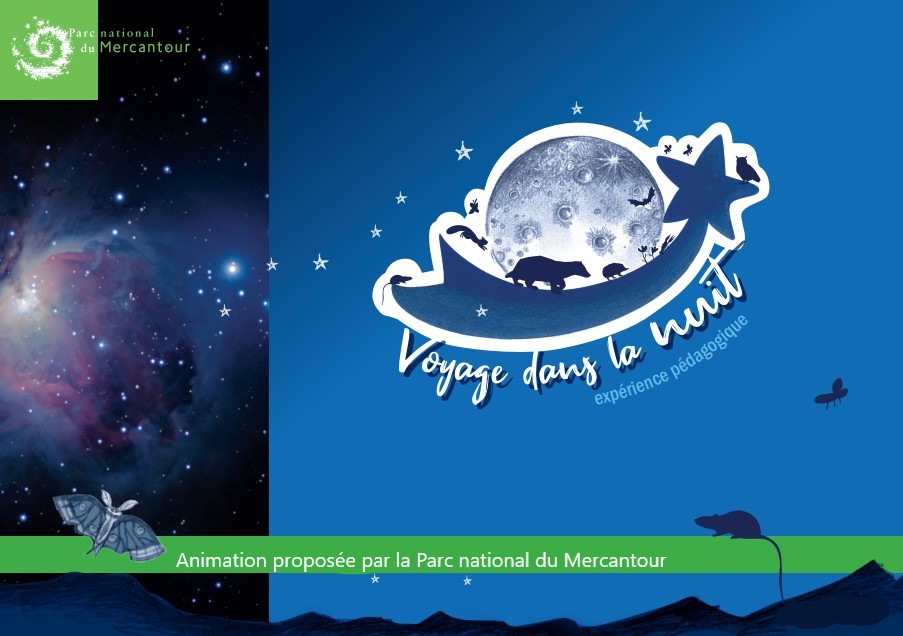 Promenade cr�pusculaire�: d�couverte des animaux nocturnes et du ciel �toil�