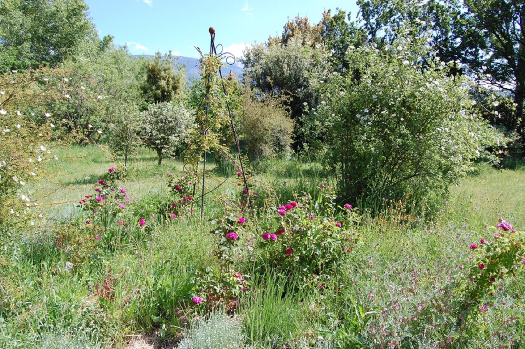 Rendez-vous nature - Visite conte de la roseraie de Grenton