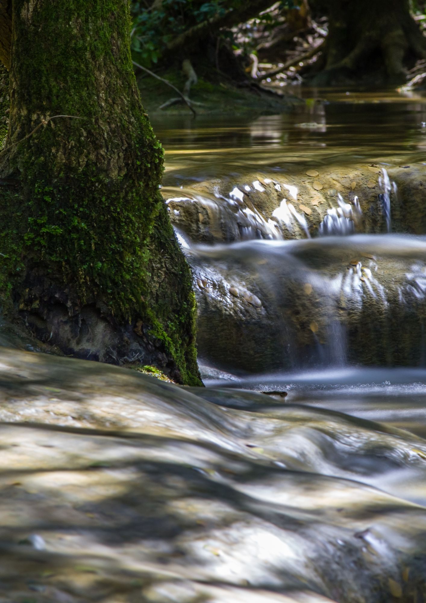 Randonne Nans Les Pins : Les Sources de l'huveaune