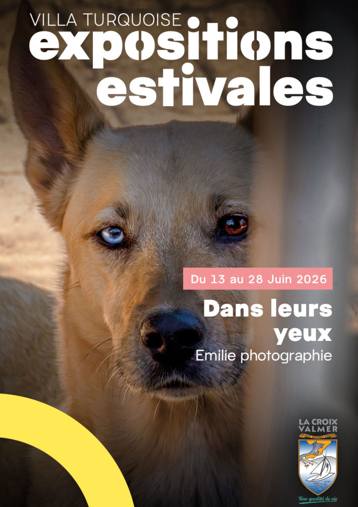 Exposition : Dans leurs yeux, Emilie Godot