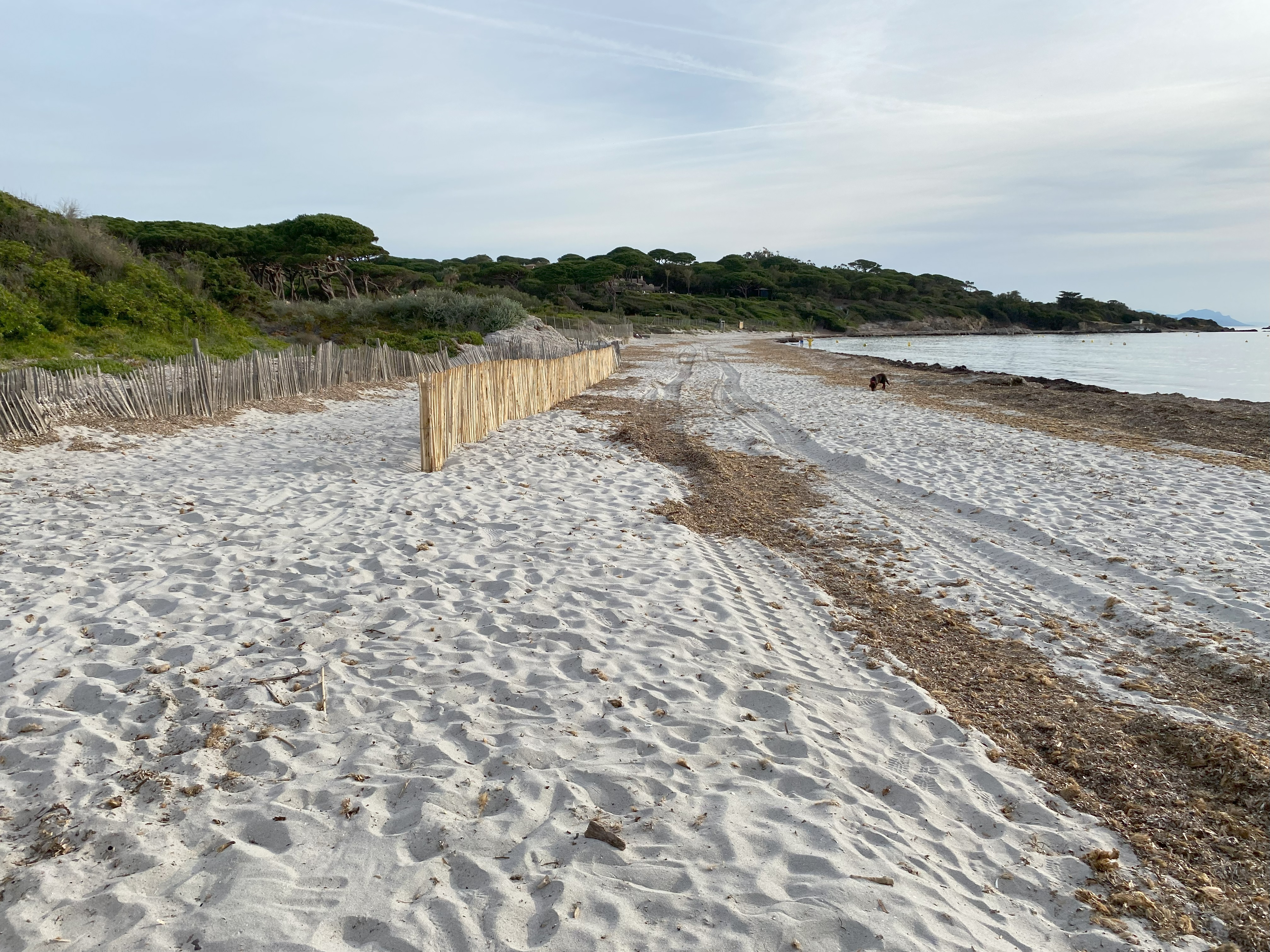 Nettoyons le Sud � Saint-Tropez