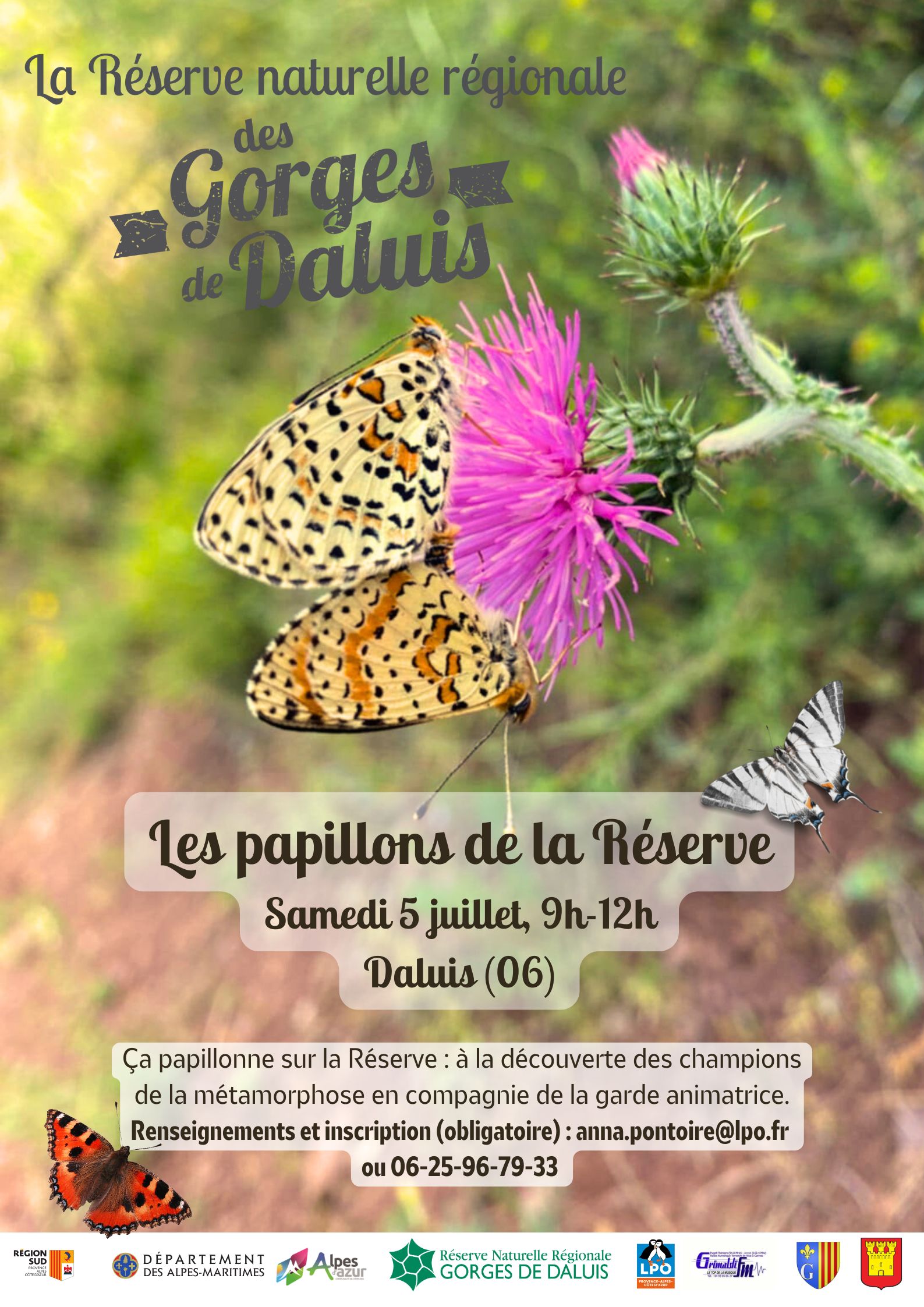 Les papillons de la Rserve