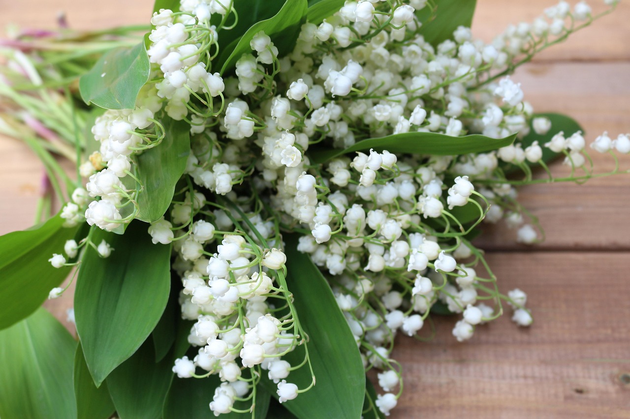 Vente de muguet et de bugnes pour le 1er mai
