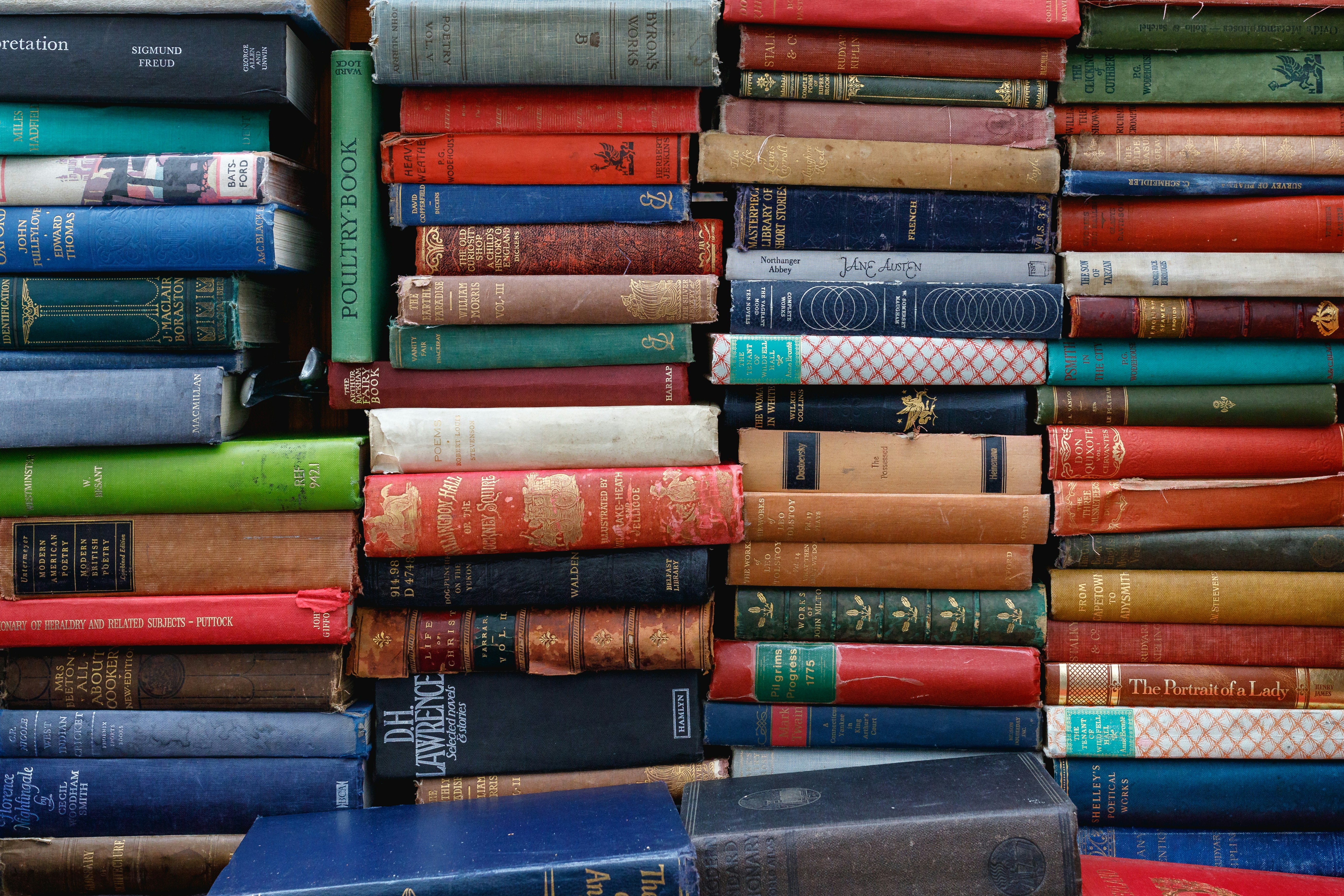Foire aux livres Amnesty International