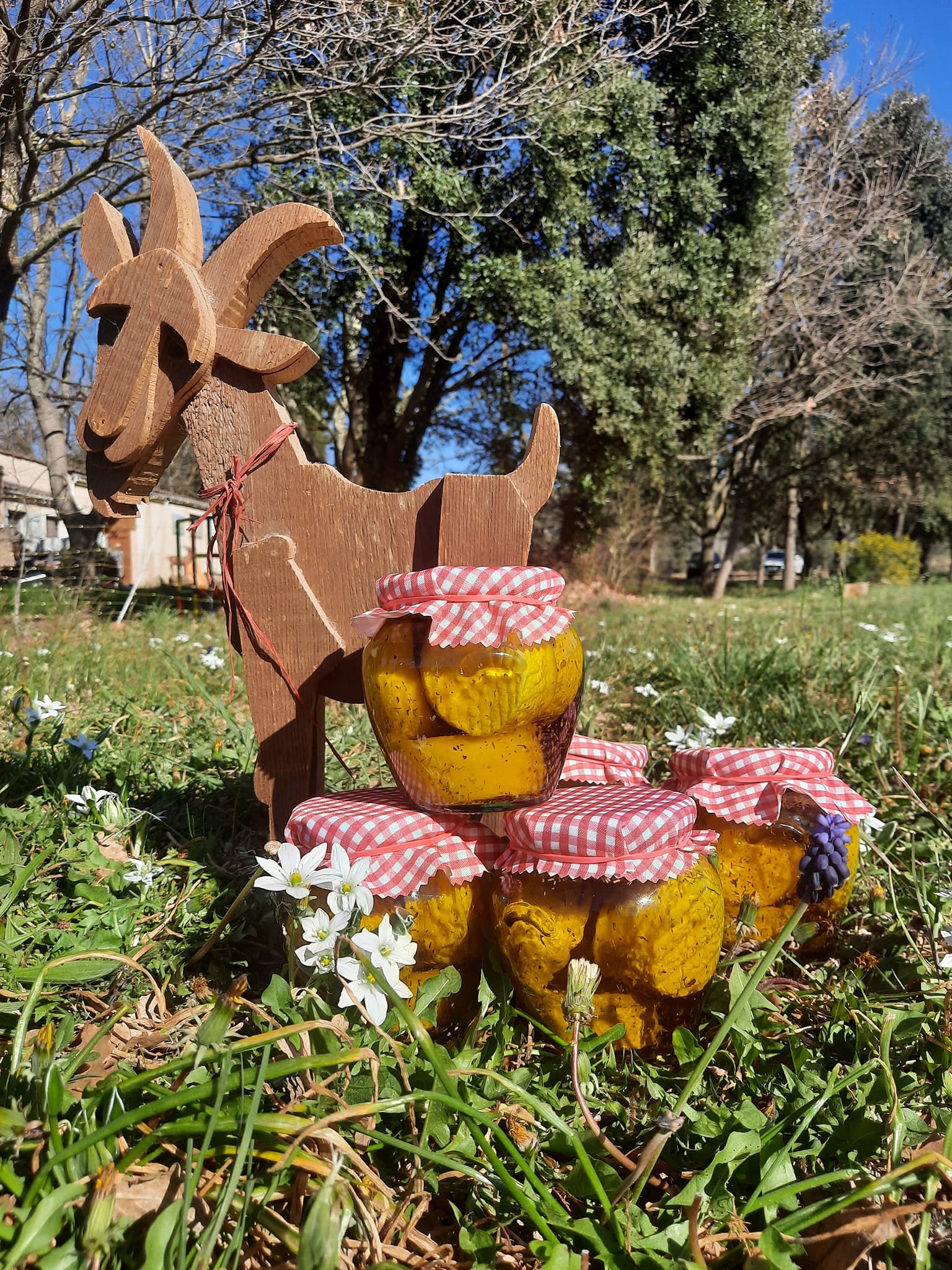 Soir�es Rencontres & Terroir