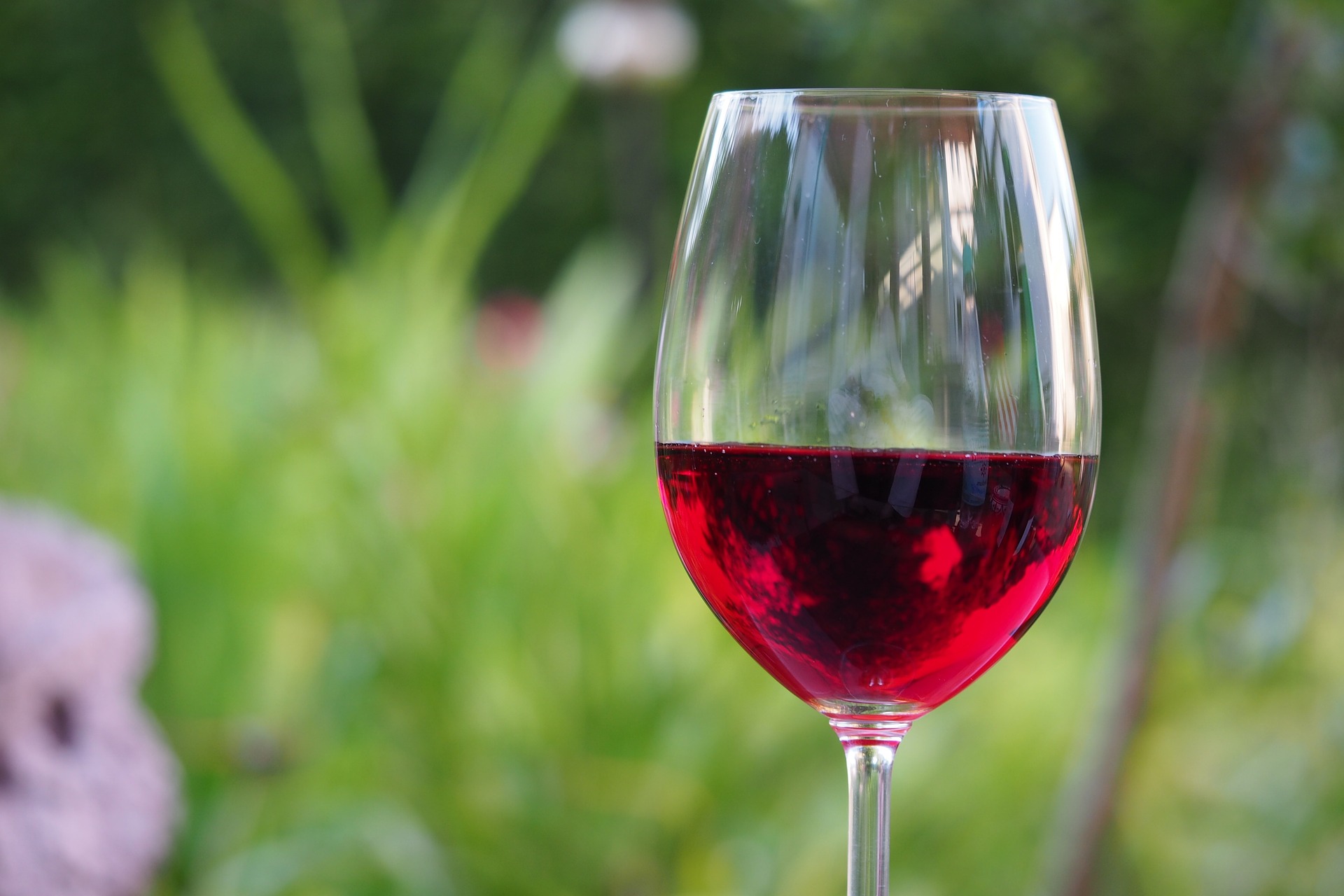 Les Vins de Ramatuelle en Fte