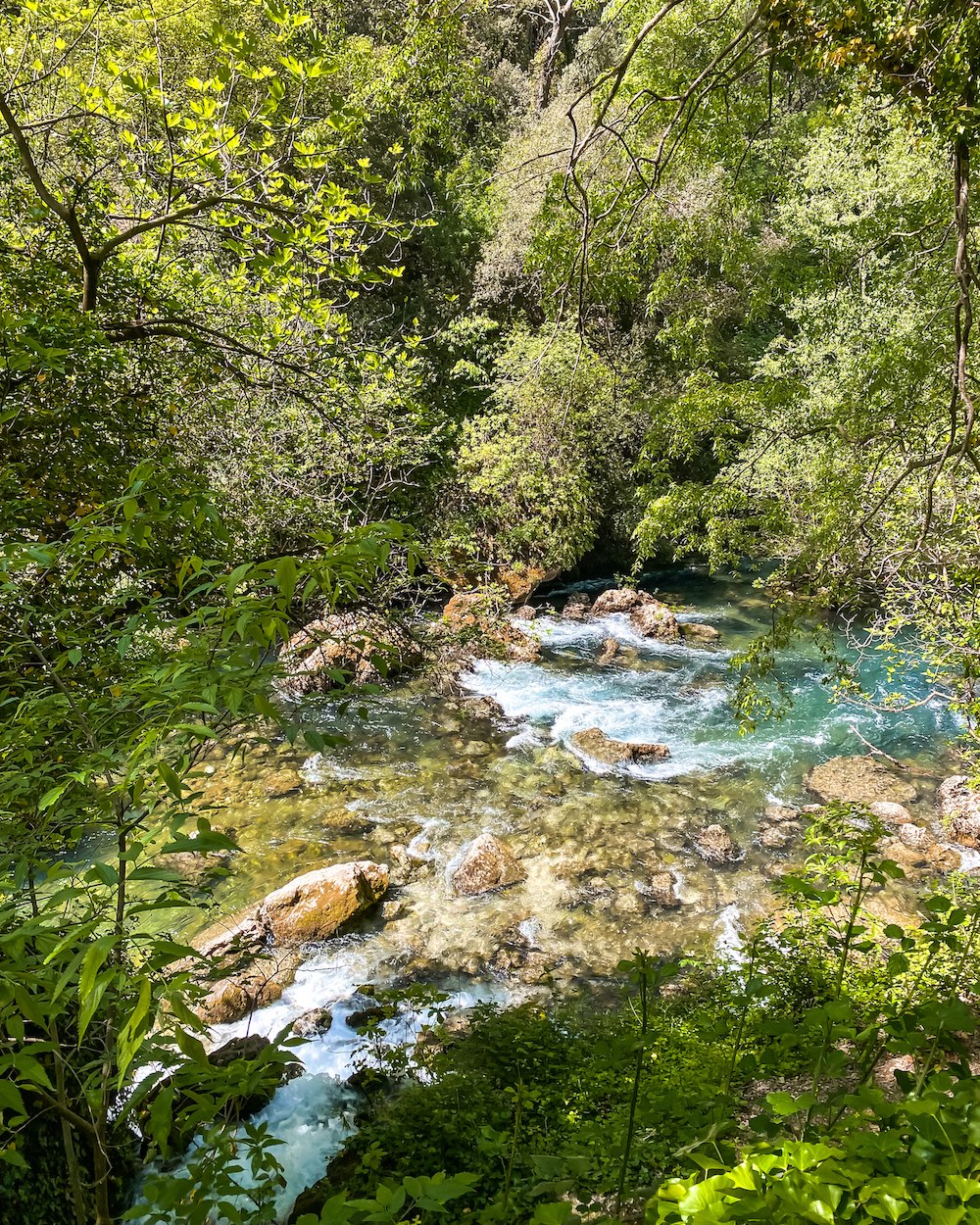 Visite dcouverte de Fontaine-de-Vaucluse