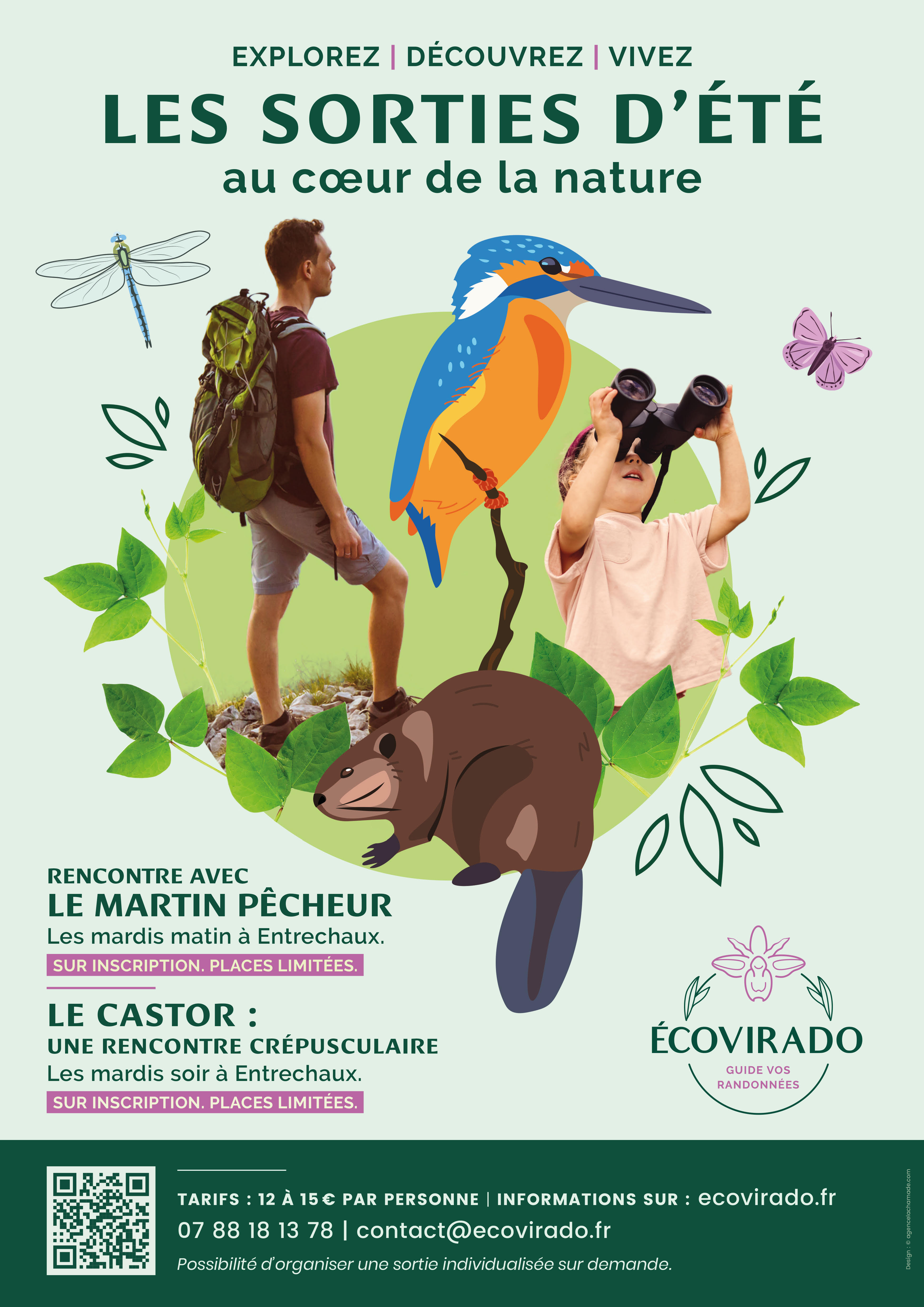 Sortie dcouverte avec Ecovirado - le castor : une rencontre crpusculaire