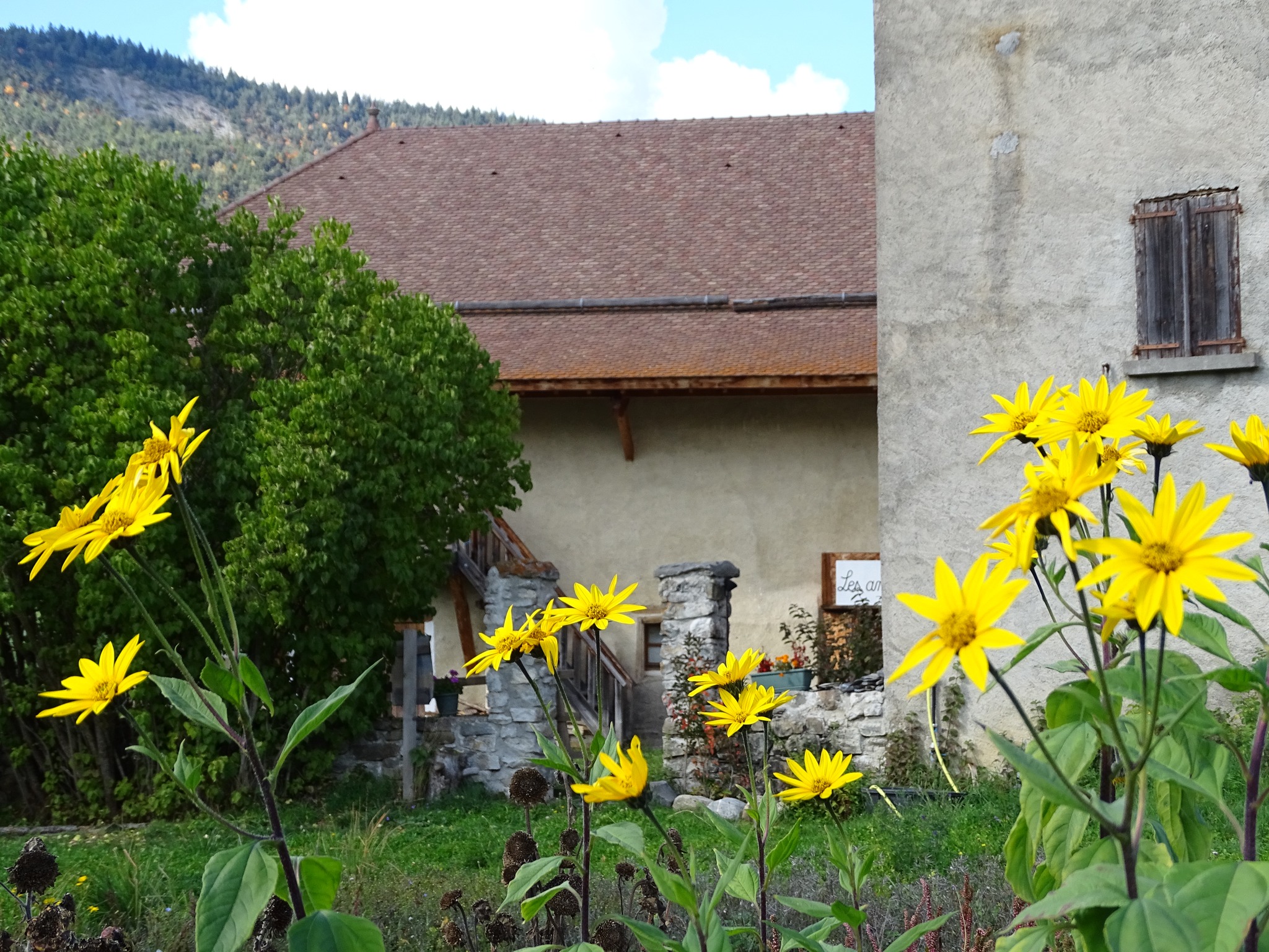 Les Jeudis anims de la Maison du Mulet : Vanniers de la Blanche et vieux mtiers