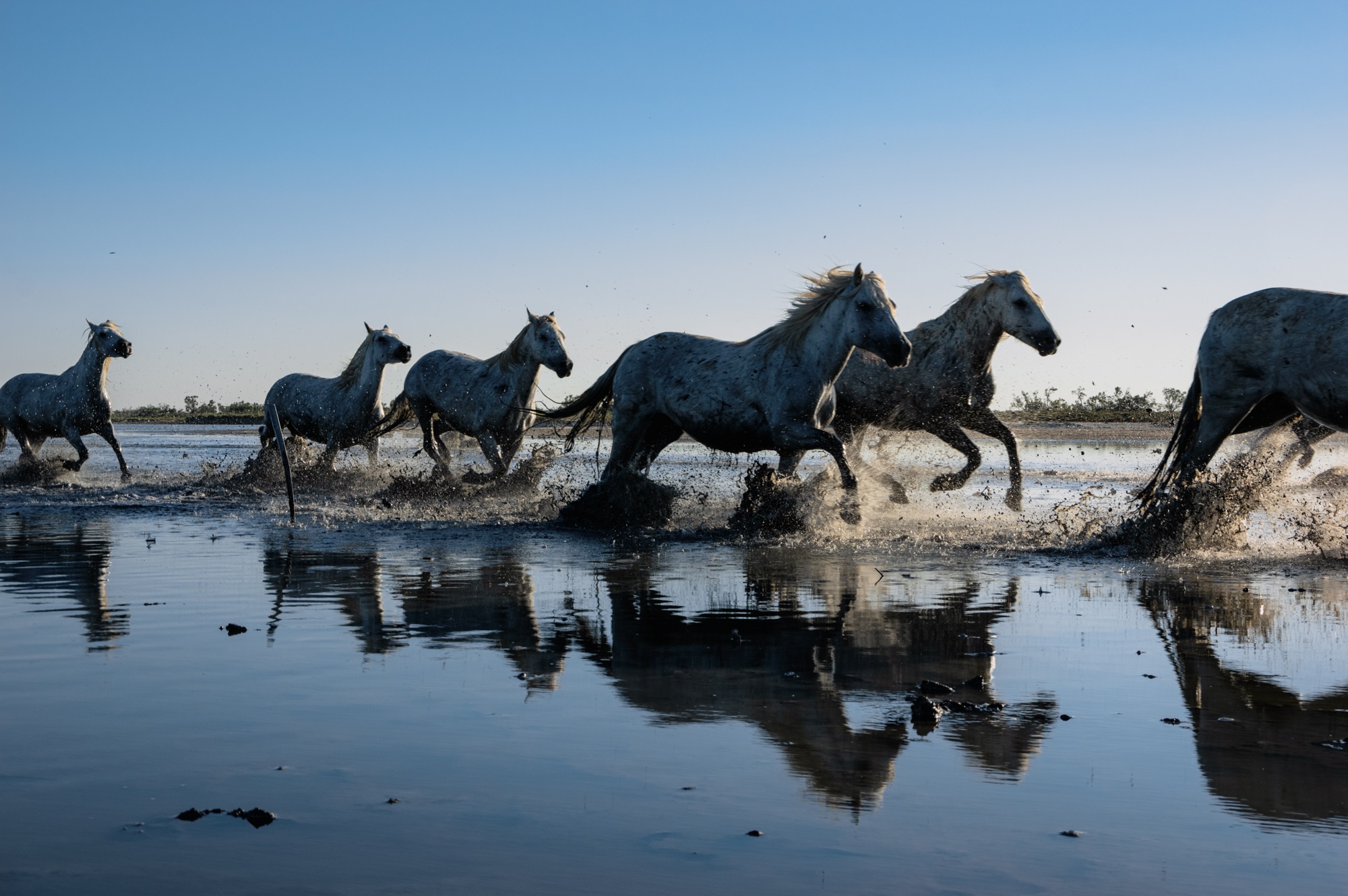 S�jour d'exception en Camargue