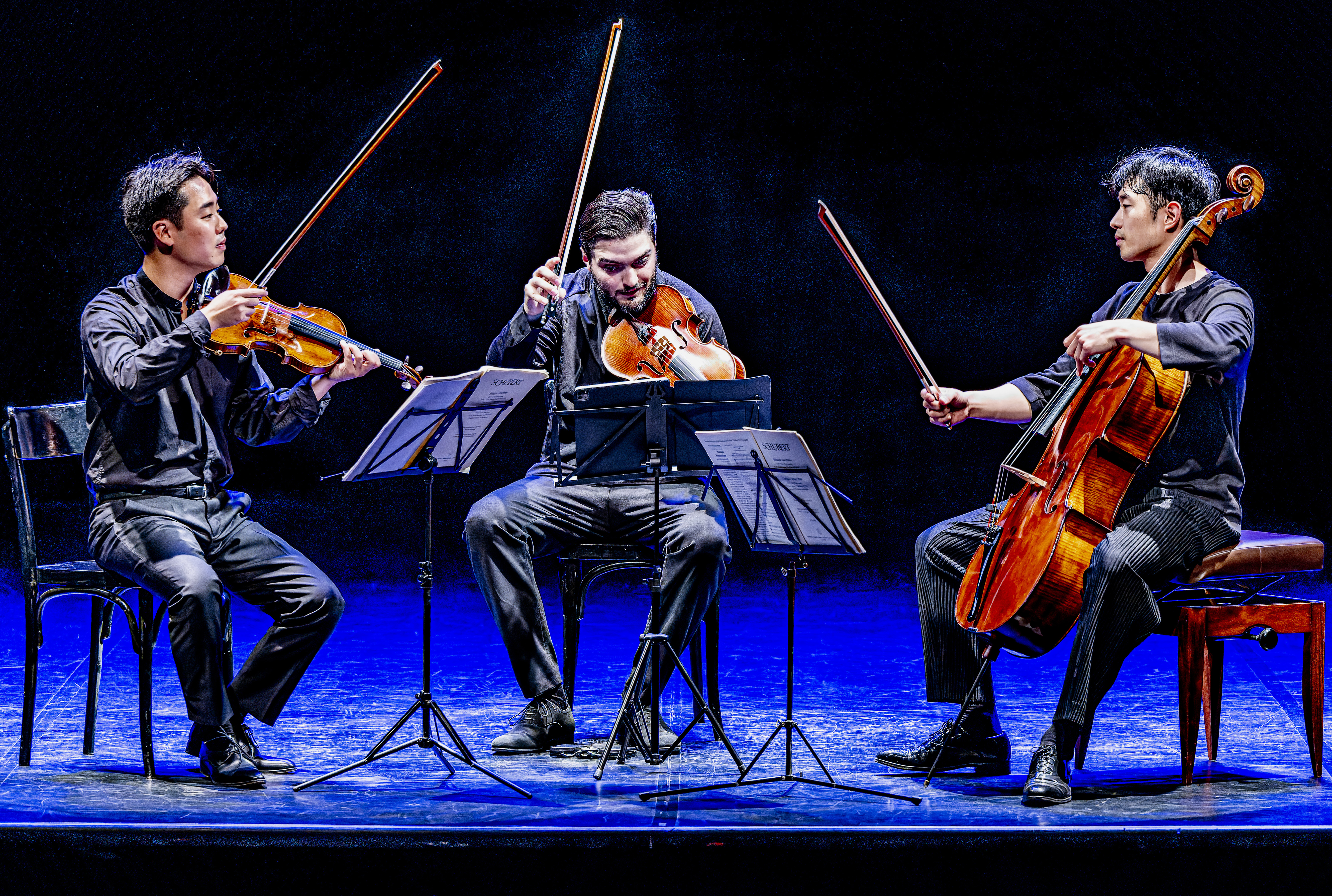 Musicales Guil Durance 2025 - Trio Arnold