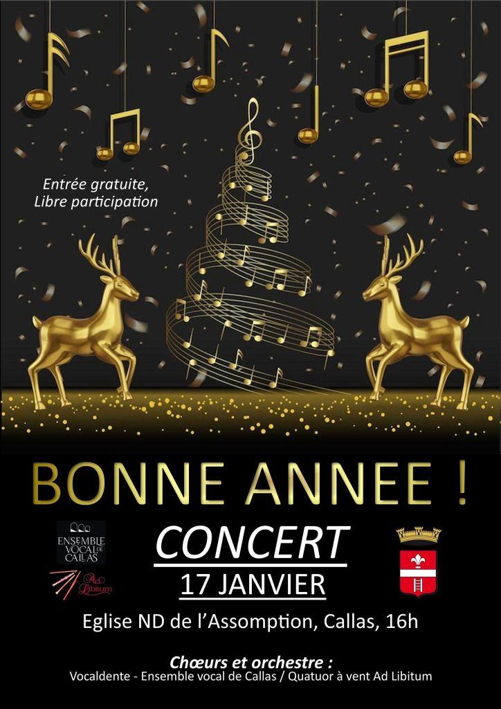 Concert - Les Voix D�partementales
