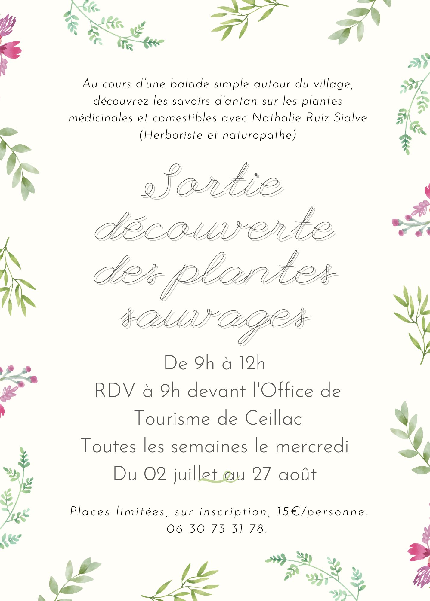 Sortie dcouverte des plantes sauvages