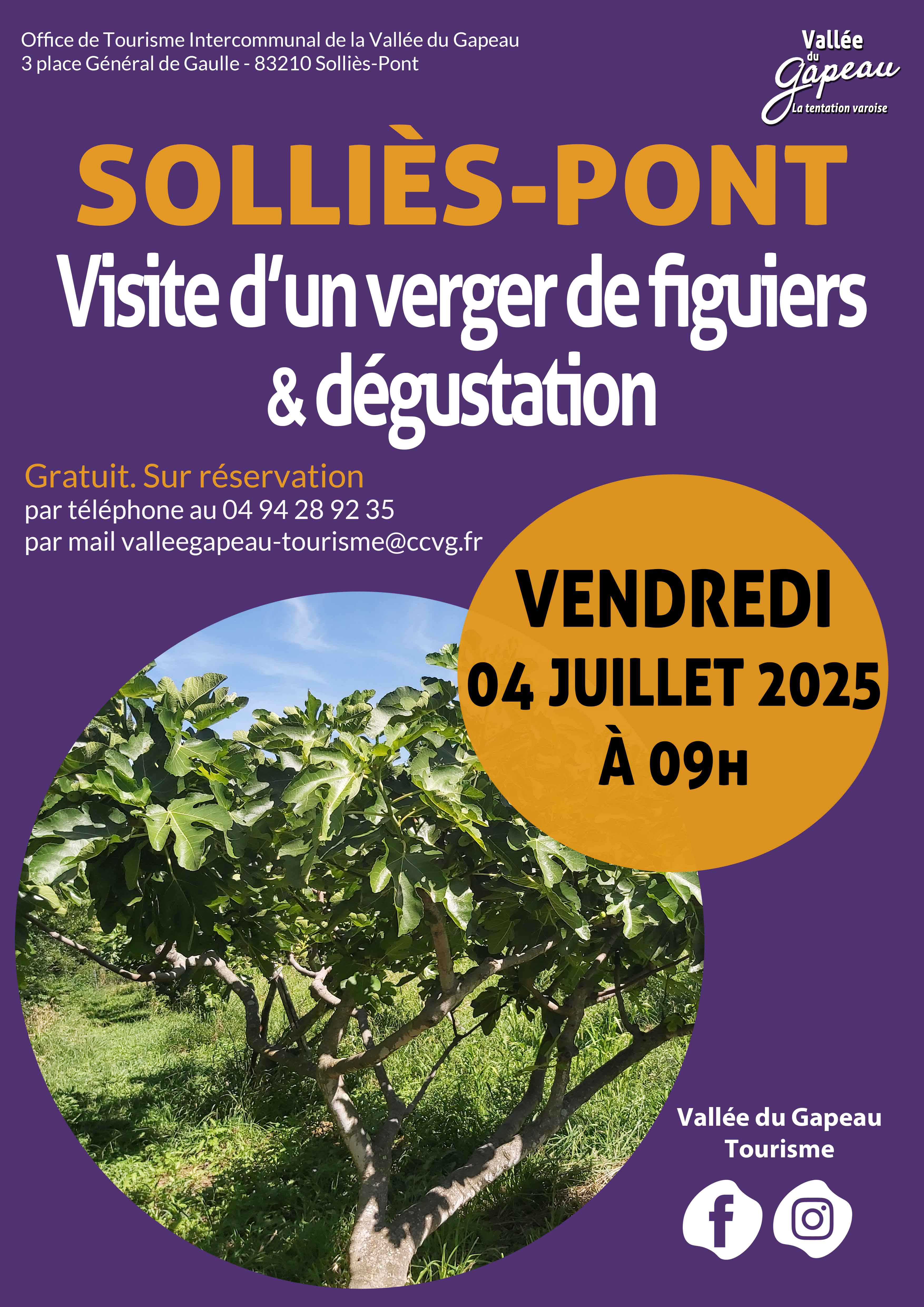 Visite d'un verger de figuiers et dgustation