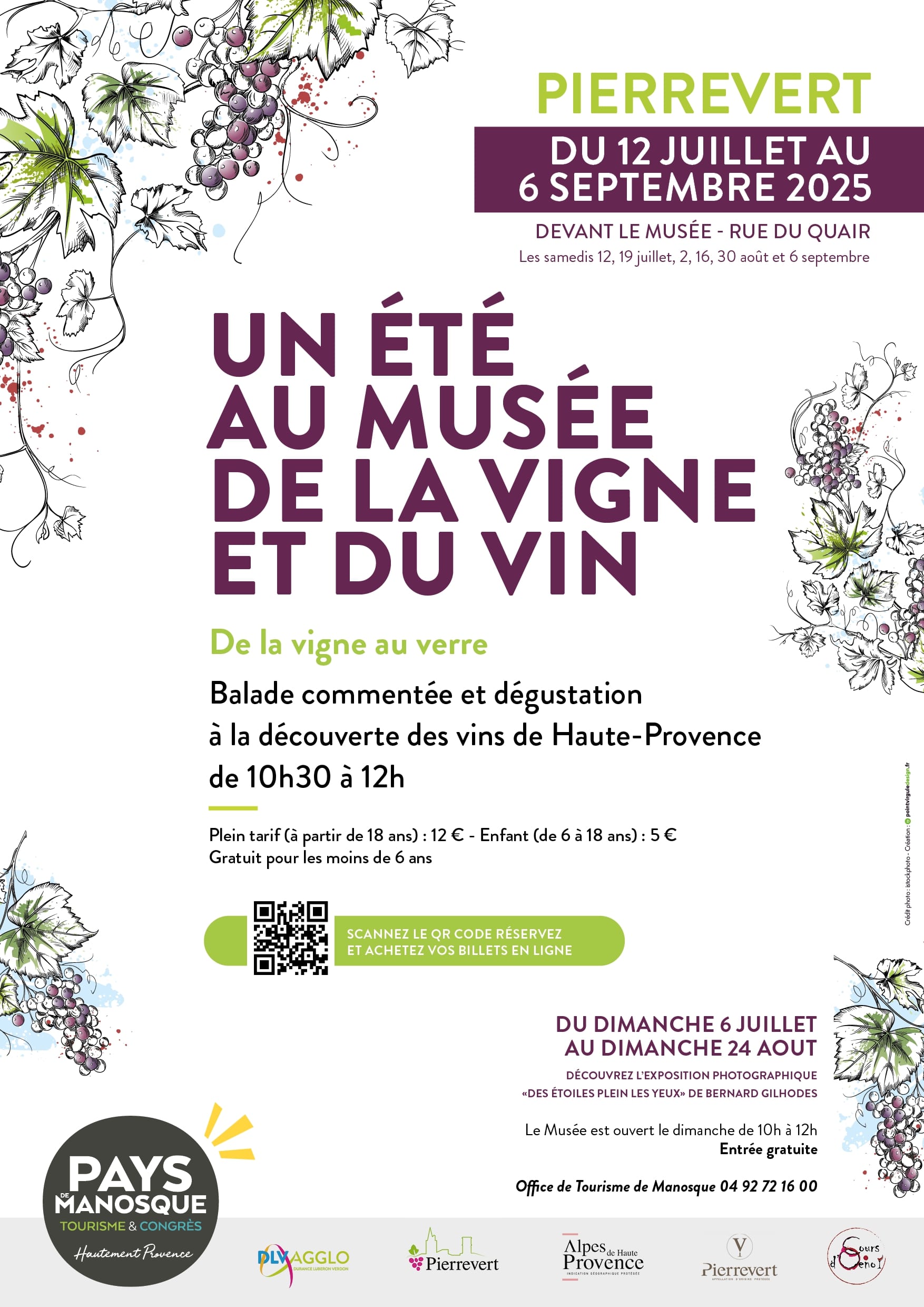 De la vigne au verre : balade et dgustation  la dcouverte des vins de Haute-Provence