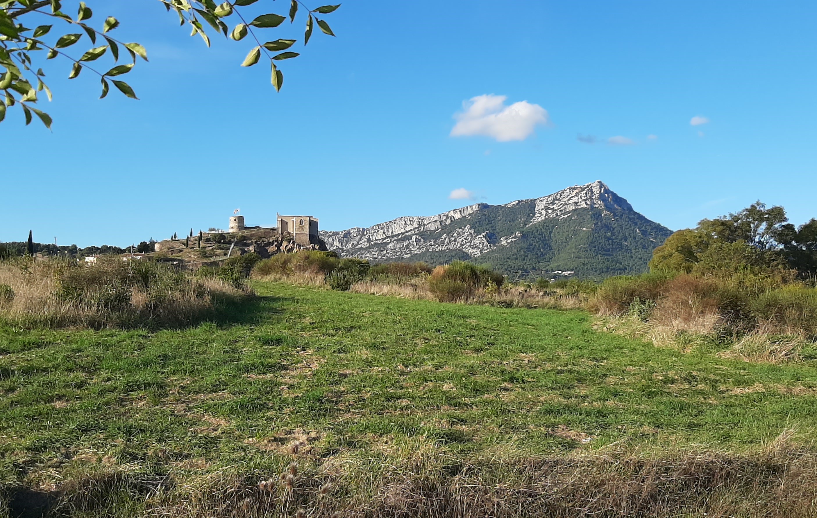 Sortie nature : Botanistes en herbe