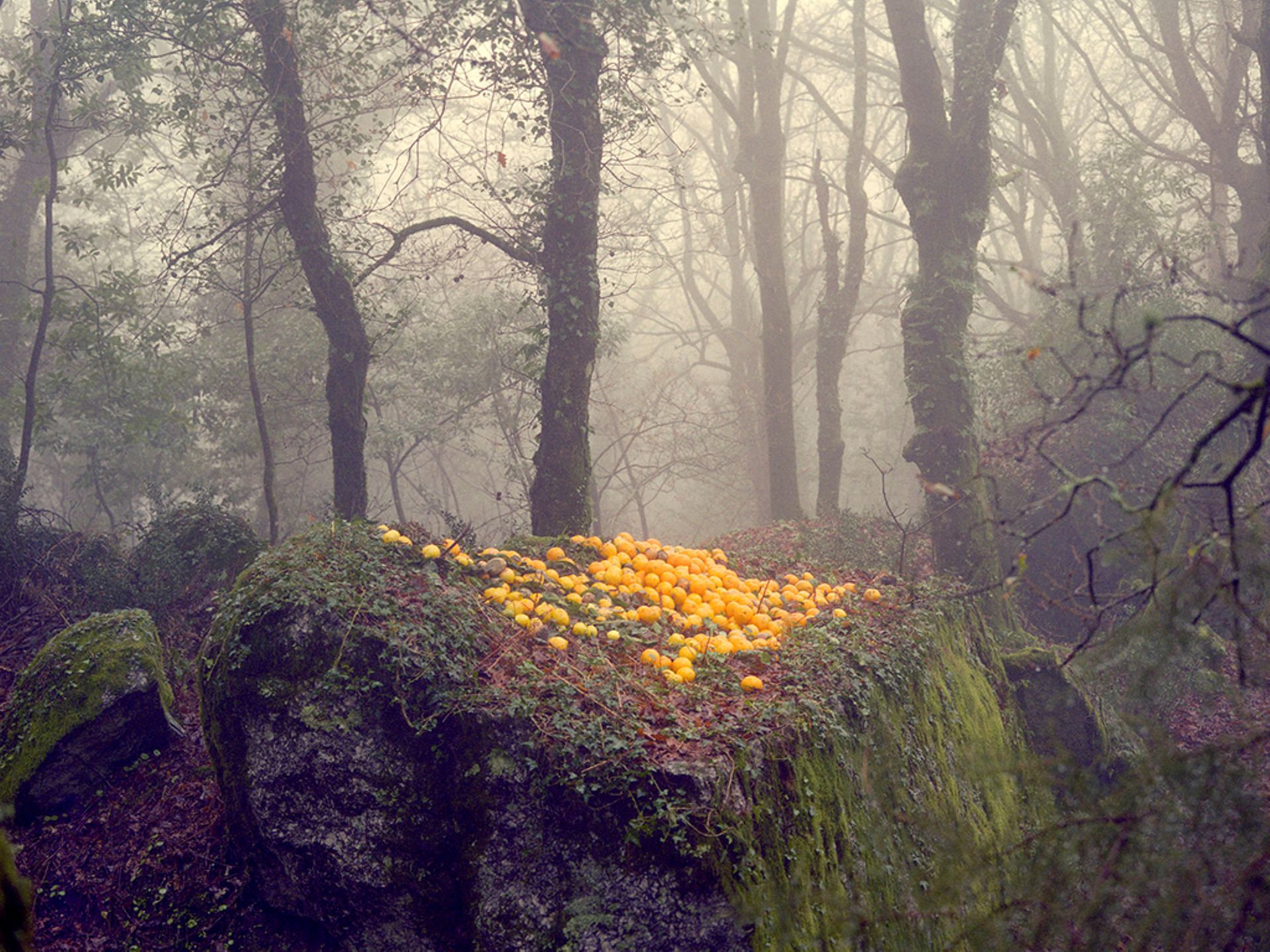Regards croiss - Portugal / Provence