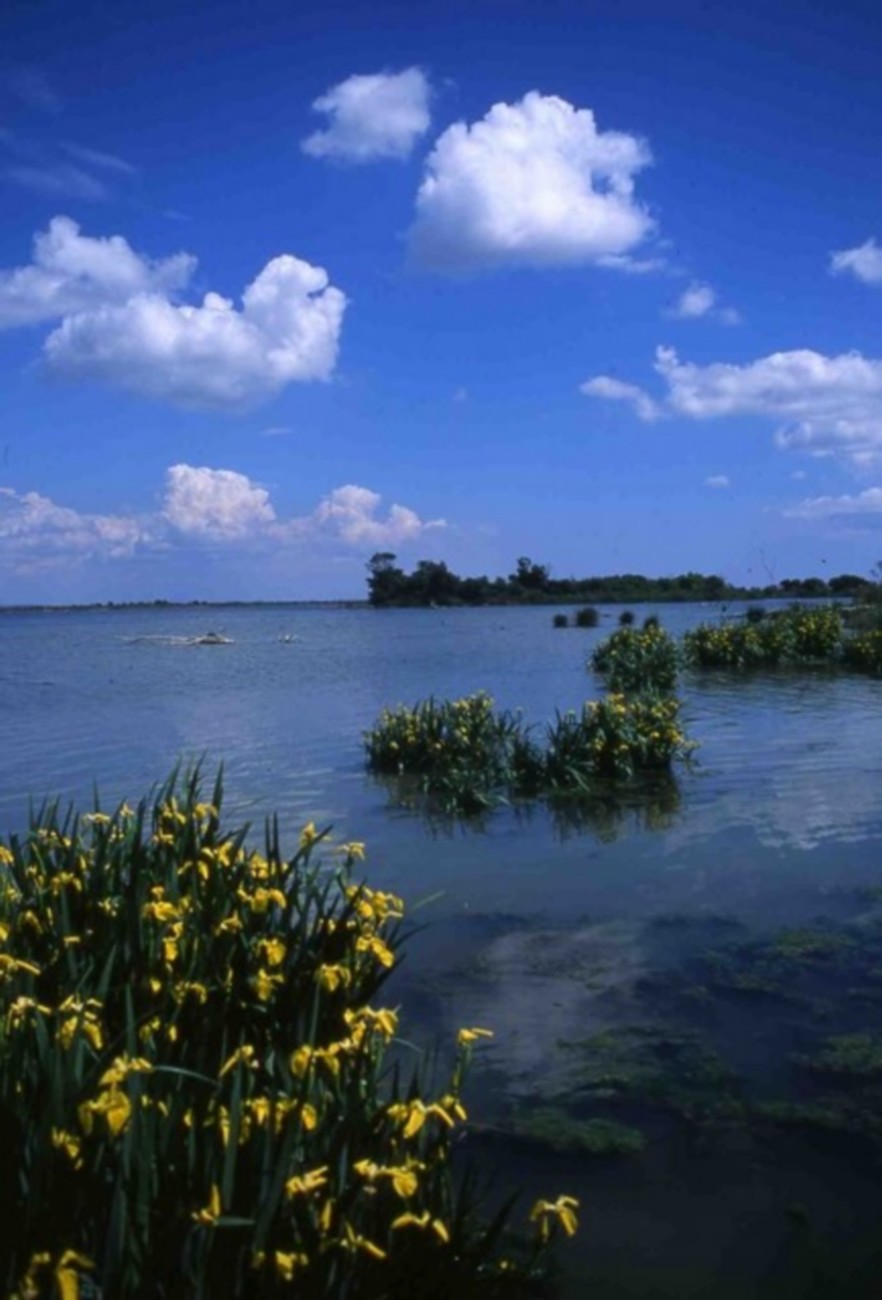 F�te de la nature 2026 : Visite guid�e au domaine de la Palissade