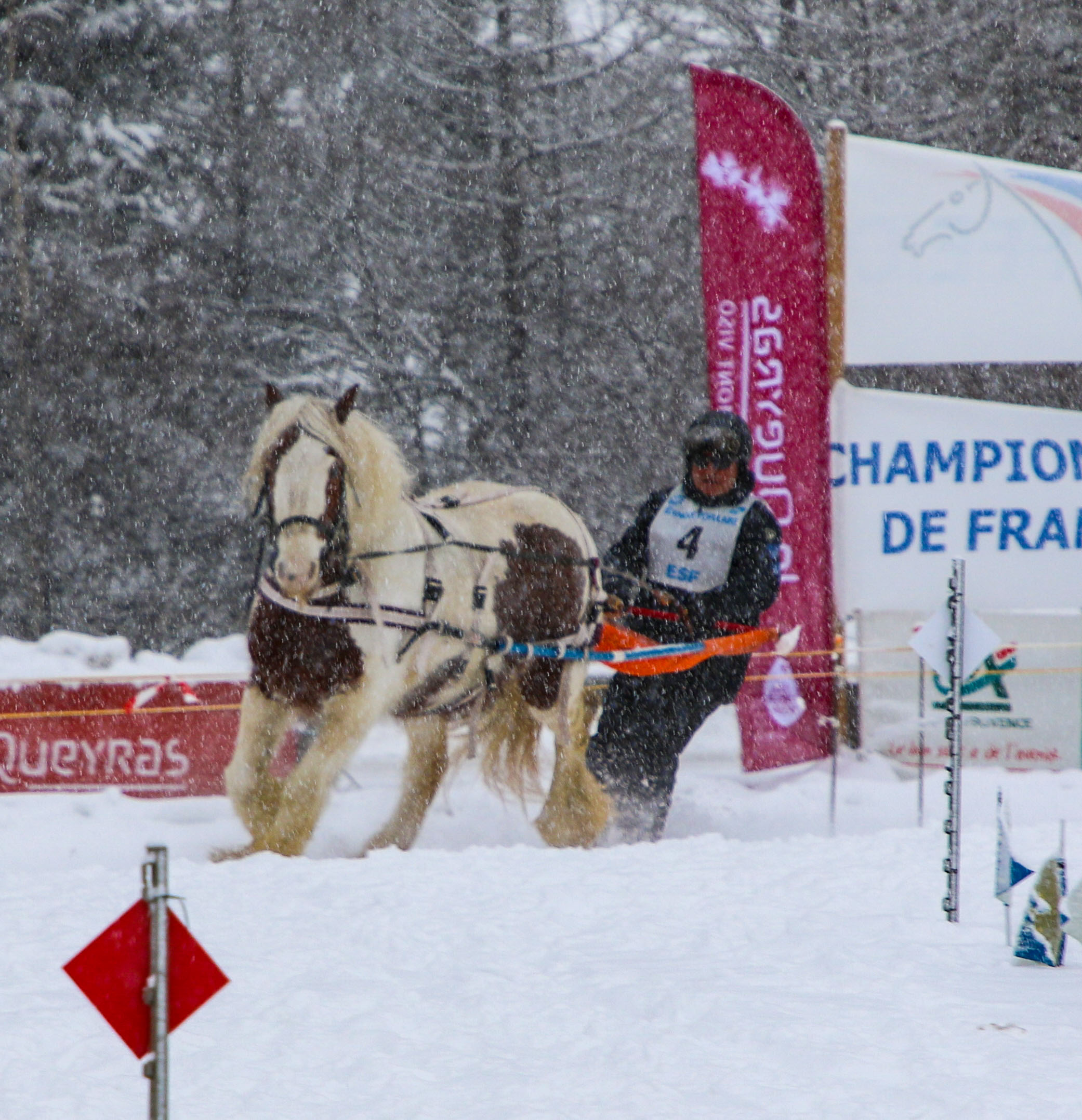 Championnat de France de Ski joring